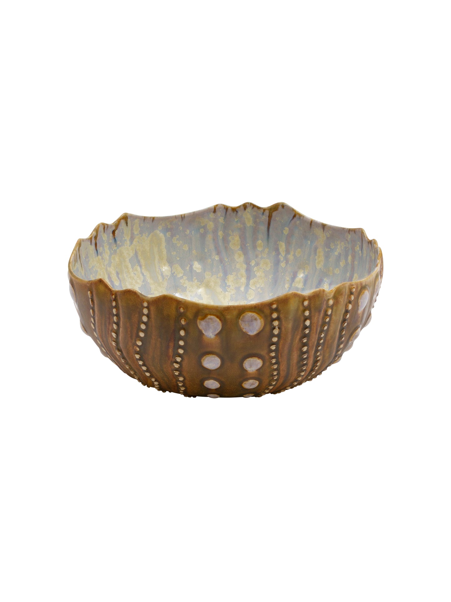 Abalone Tortoise Sea Urchin Bowl Medium Weston Table