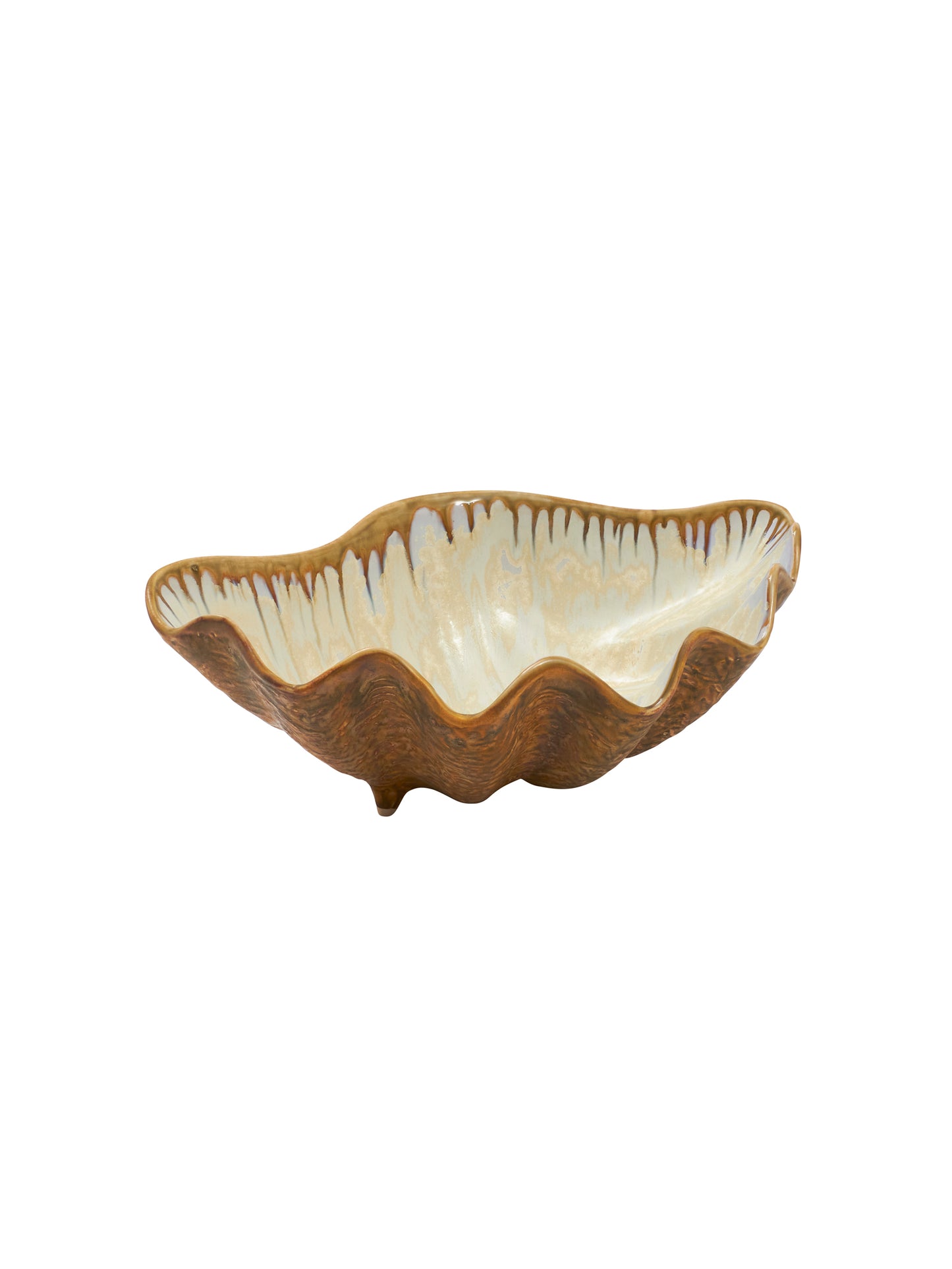 Abalone and Tortoise Sea Clam Bowl Medium Weston Table