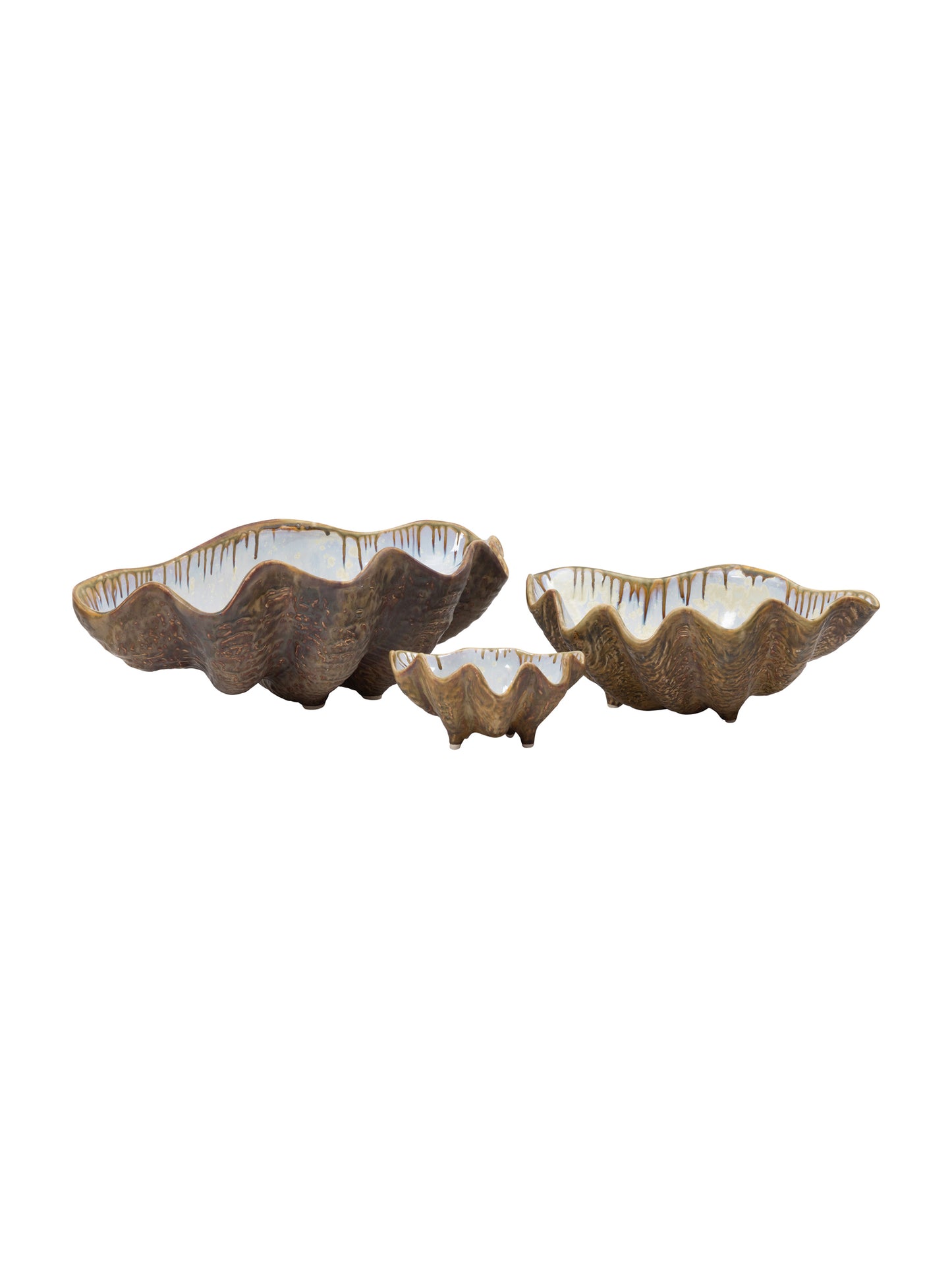 Abalone and Tortoise Sea Clam Bowl Weston Table