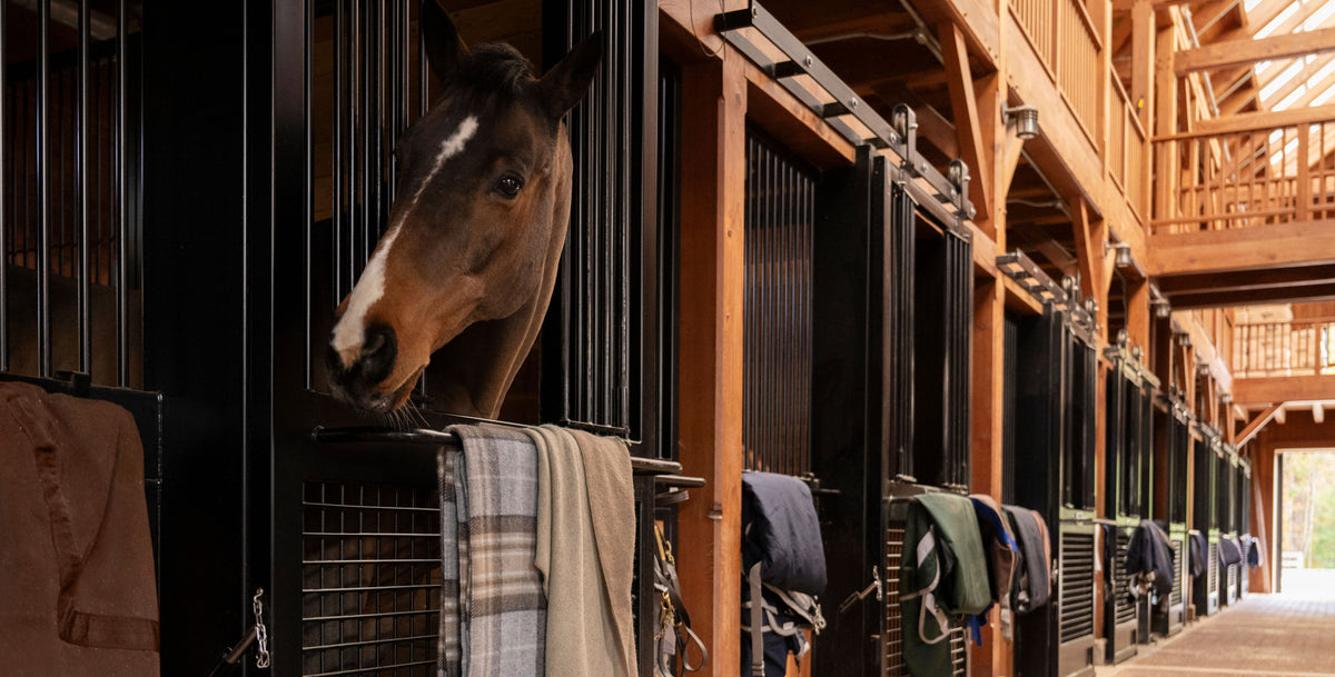 A horse with a white blaze looks out from a black stable stall with a plaid blanket draped over the door, set in a row of wooden and black horse stalls on a brick path. Weston Table.