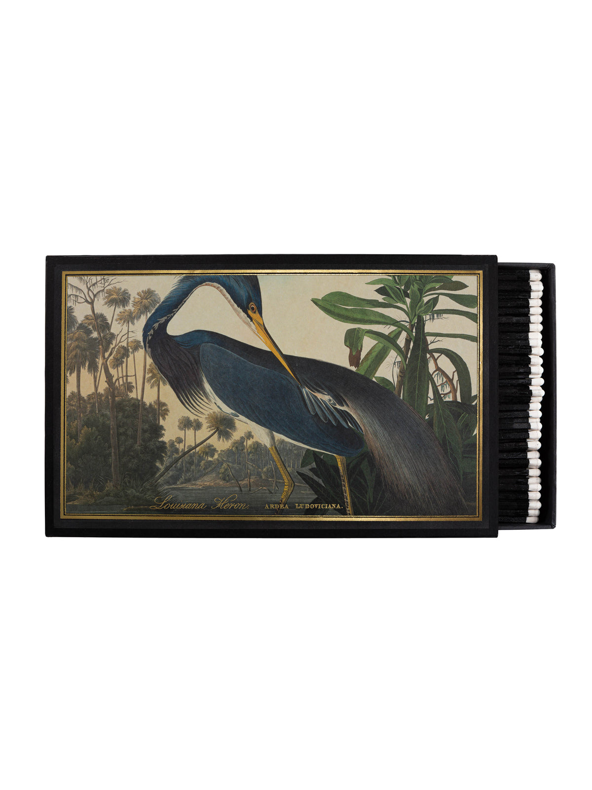 Archivist Gallery Louisiana Heron Big Matchbox Weston Table