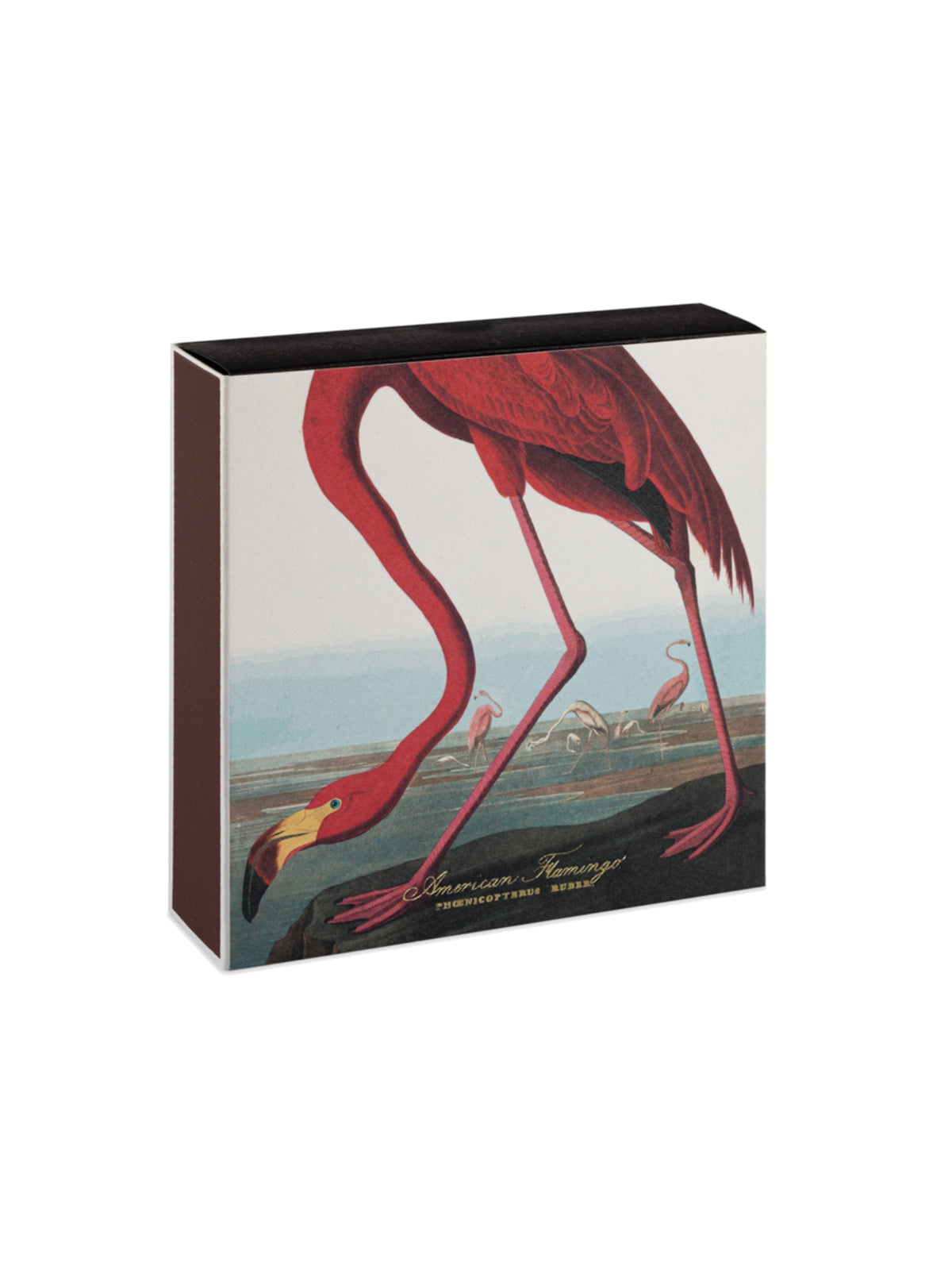 Archivist Gallery The American Flamingo Matchbox Weston Table