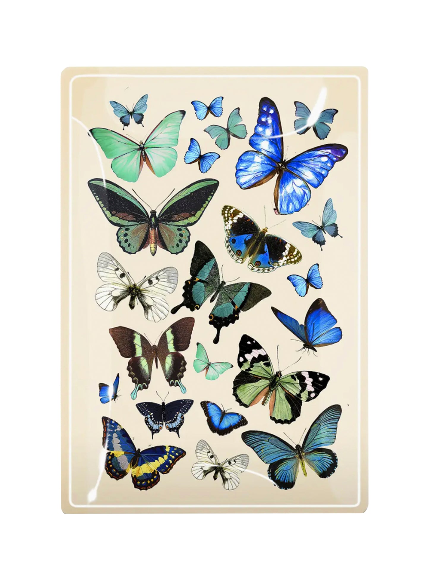Blue Butterflies Decoupage Glass Tray Weston Table