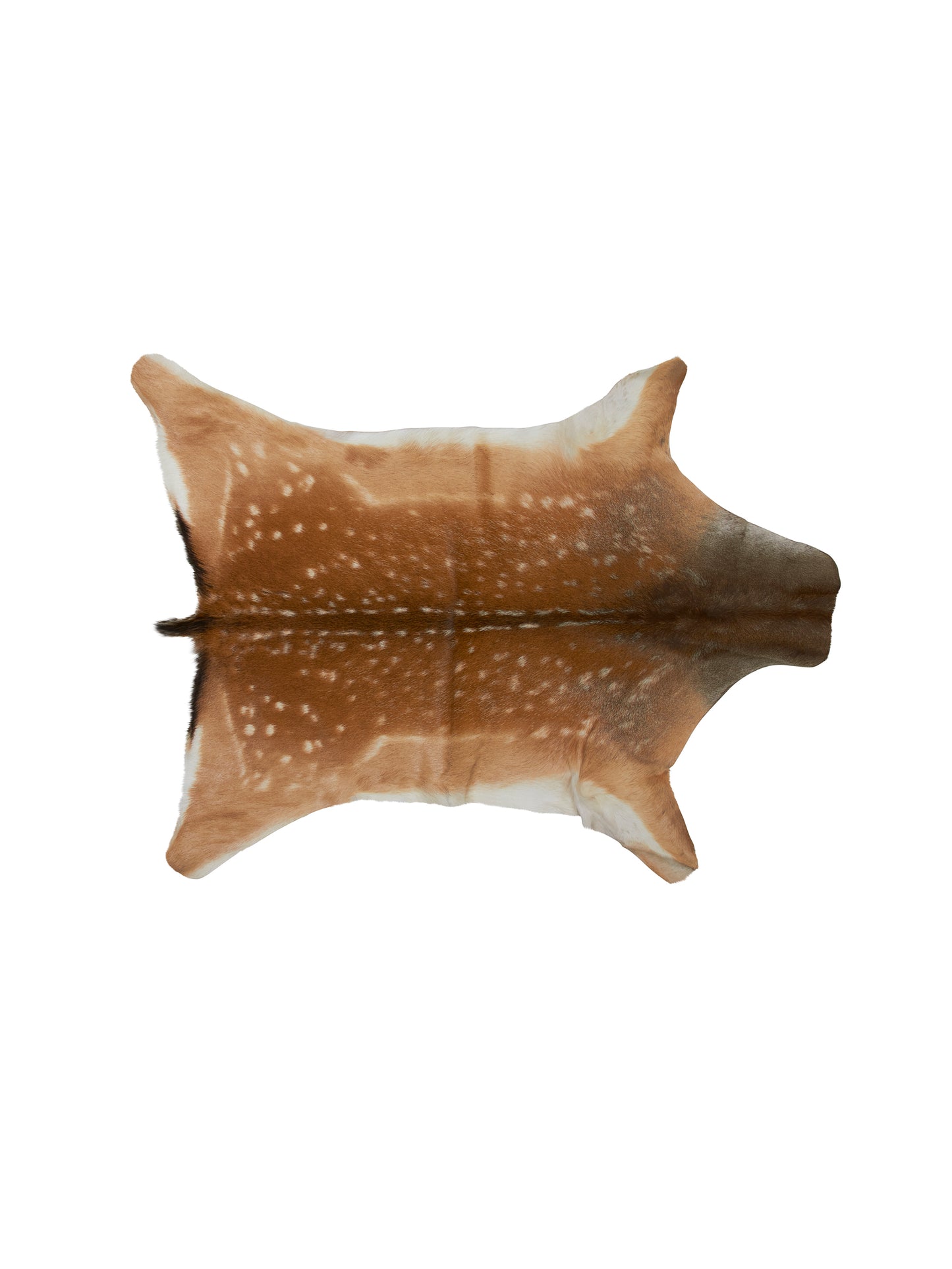 Fallow Deer Hide Style Five Weston Table