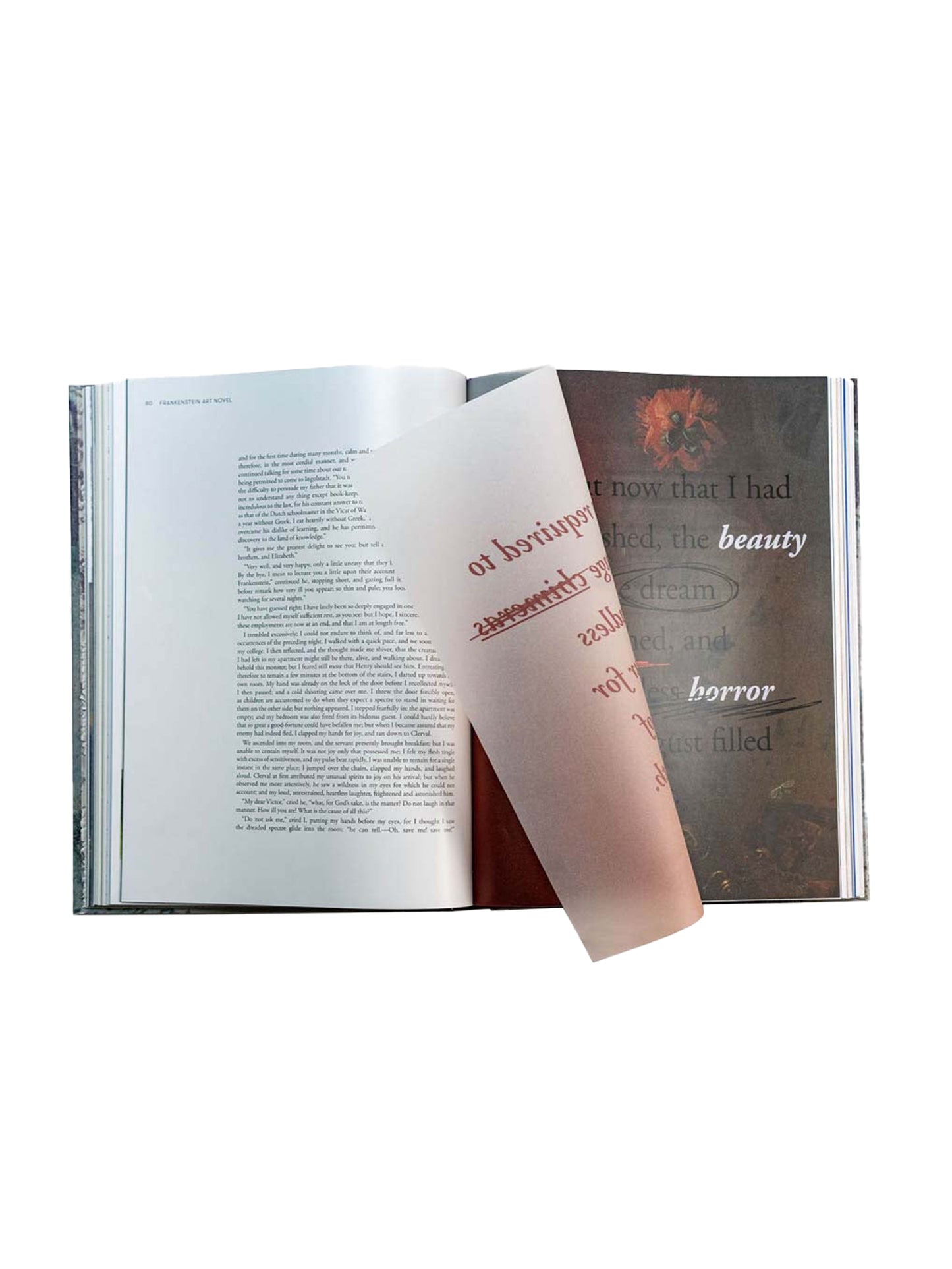 Frankenstein Art Novel™