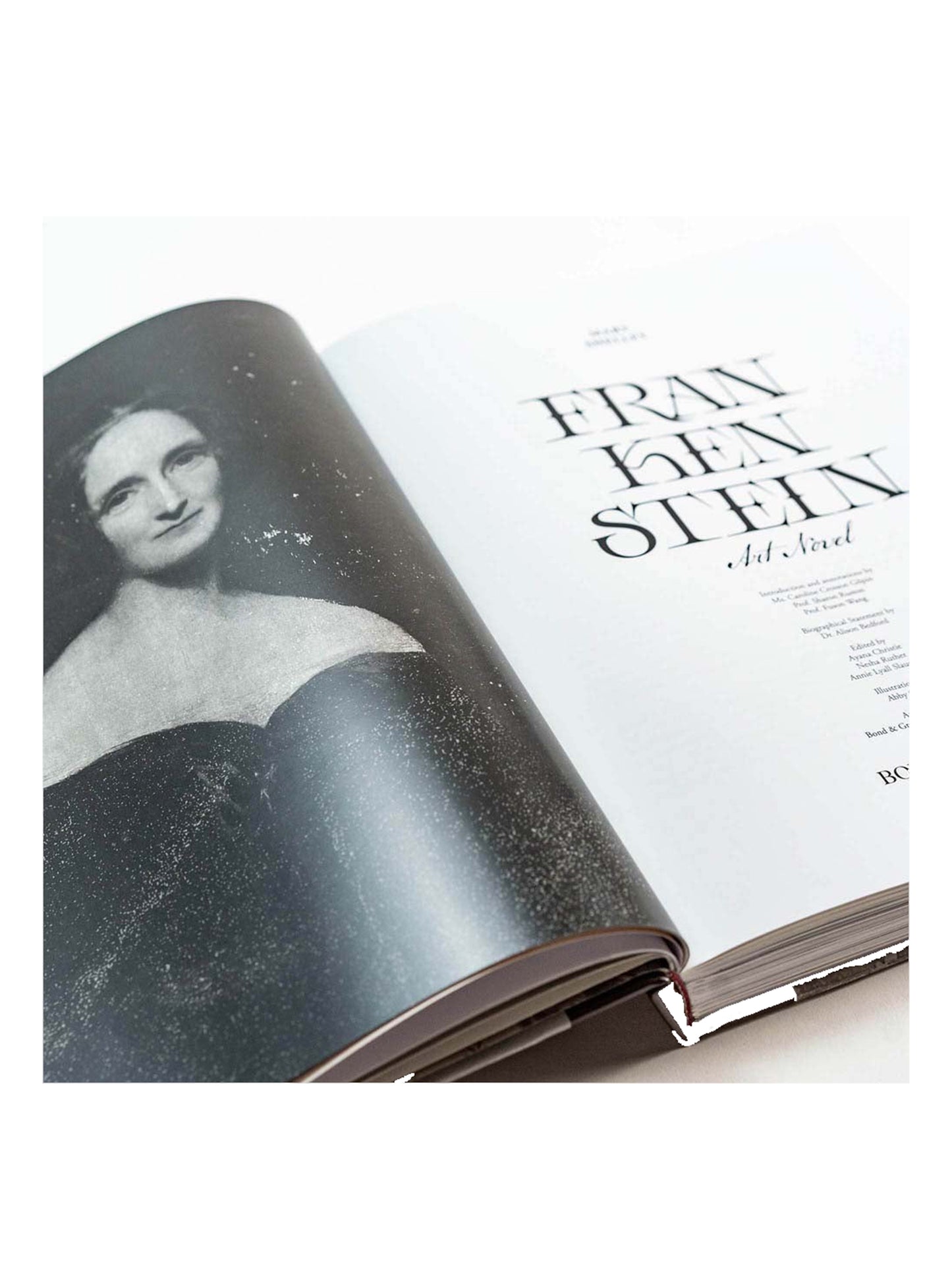 Frankenstein Art Novel™