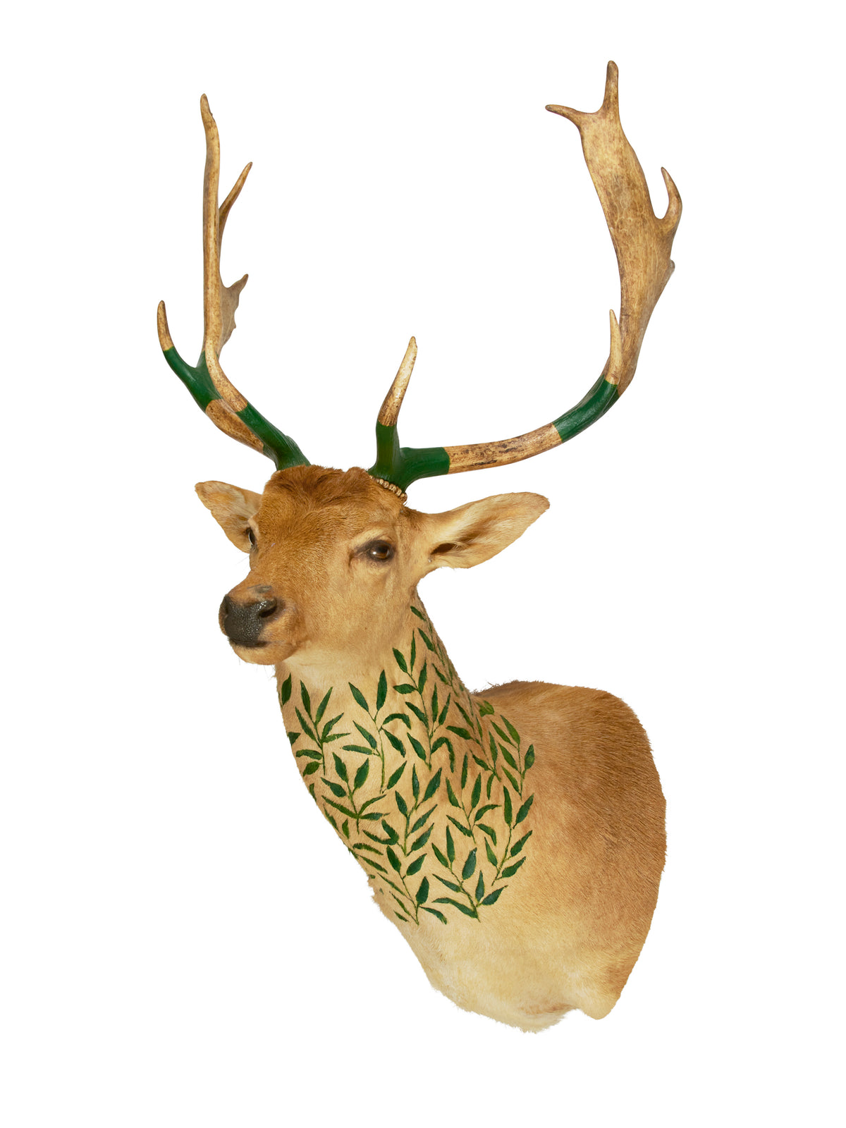 Hand Painted Fallow Deer Trophy Weston Table