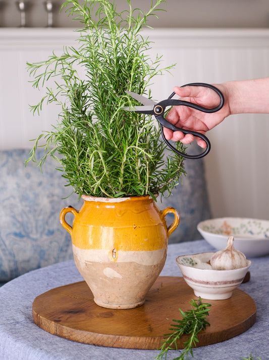 Higurashi Shears Weston Table