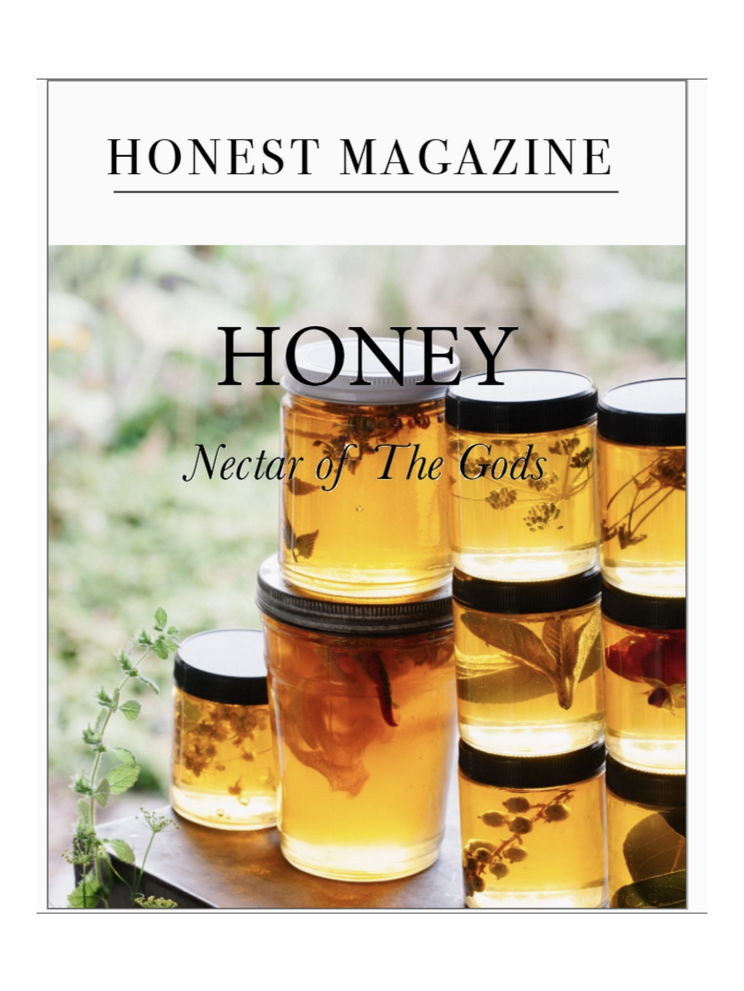 Honest Magazine Honey Nectar of the Gods Weston Table