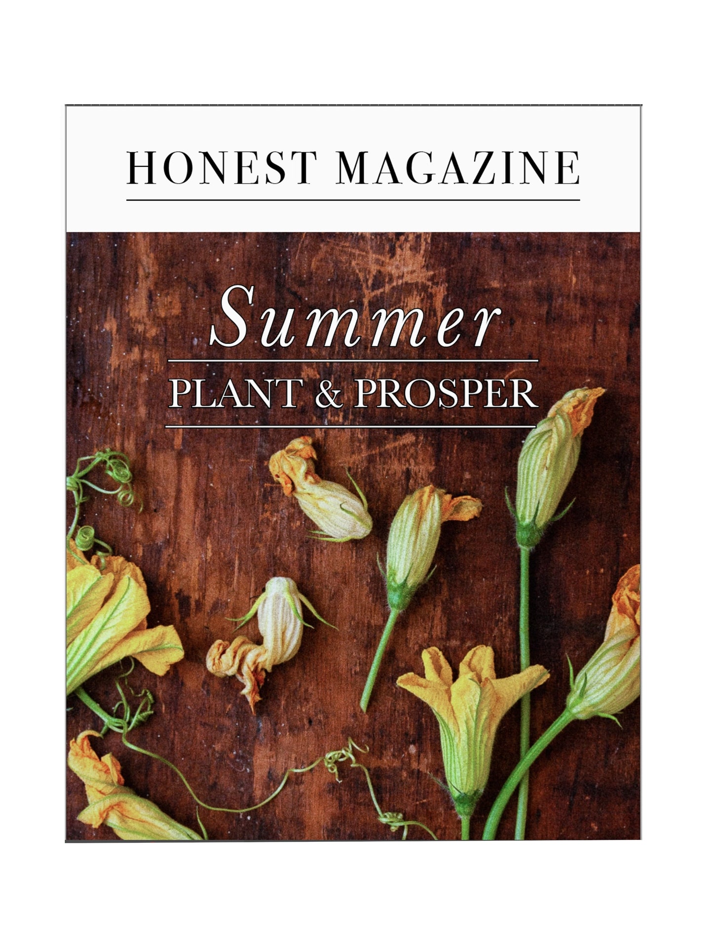 Honest Magazine Summer Plant & Prosper Weston Table