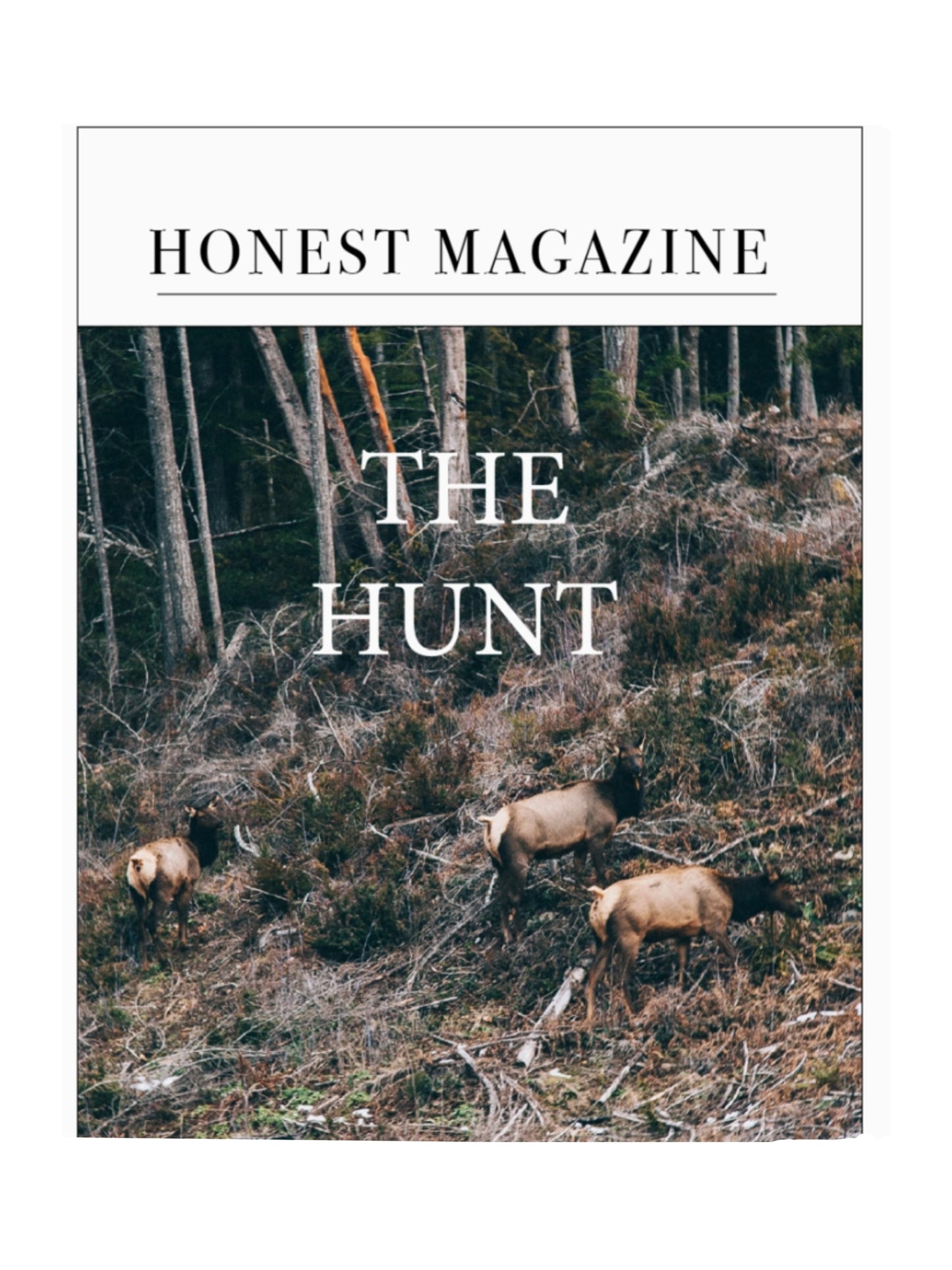 Honest Magazine The Hunt Weston Table