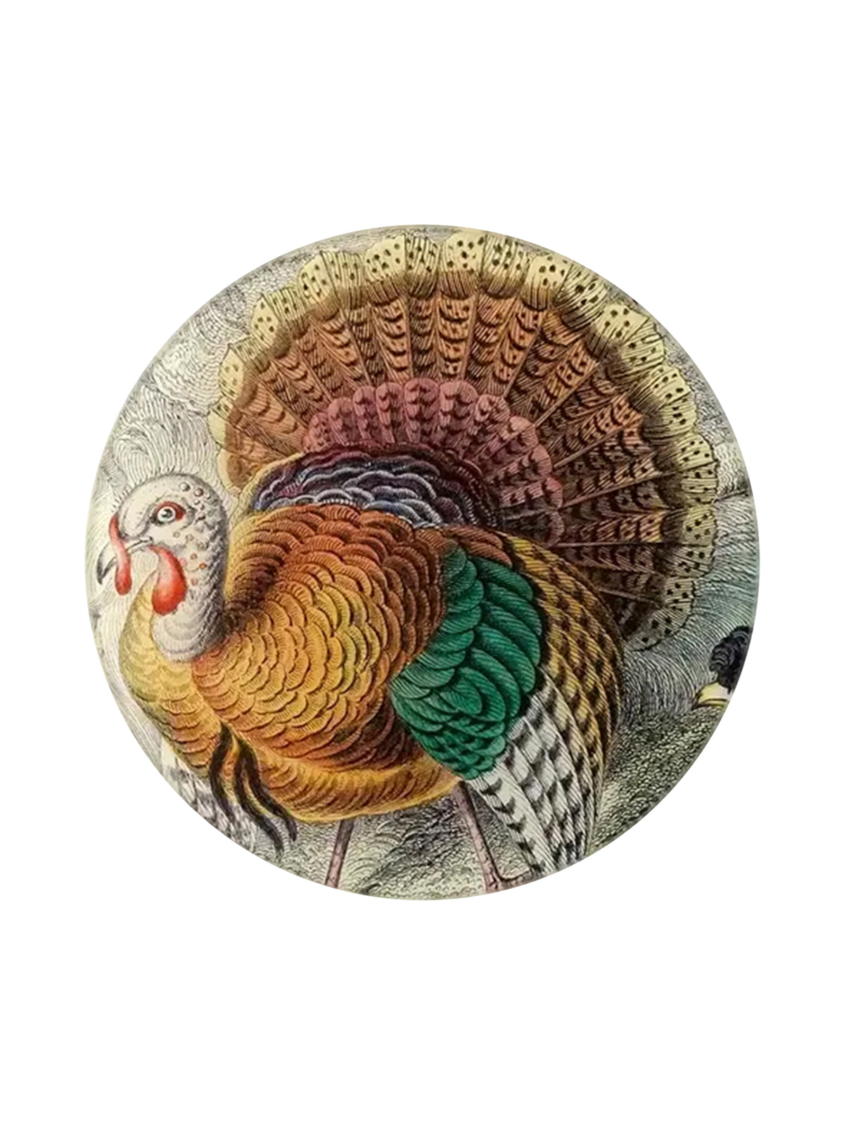 John Derian American Wild Turkey Round Plate Weston Table