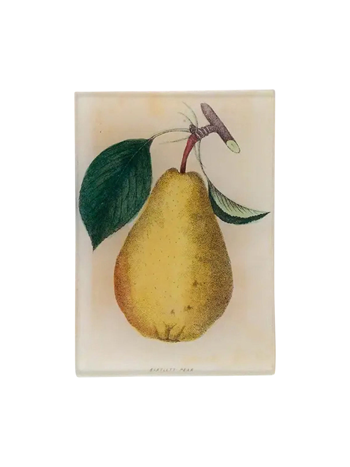 John Derian Bartlett Pear Tiny Rectangular Tray Weston Table