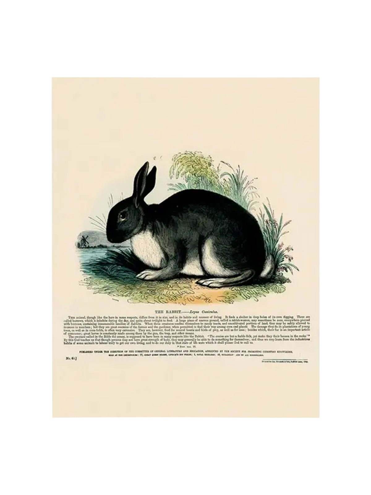 John Derian The Rabbit Rectangular Tray Weston Table