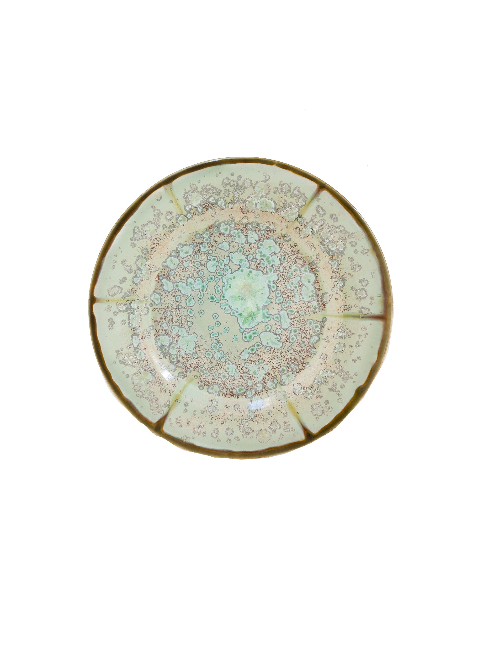 Mint and Tortoise Oyster Salad Plate | Dinnerware | Weston Table