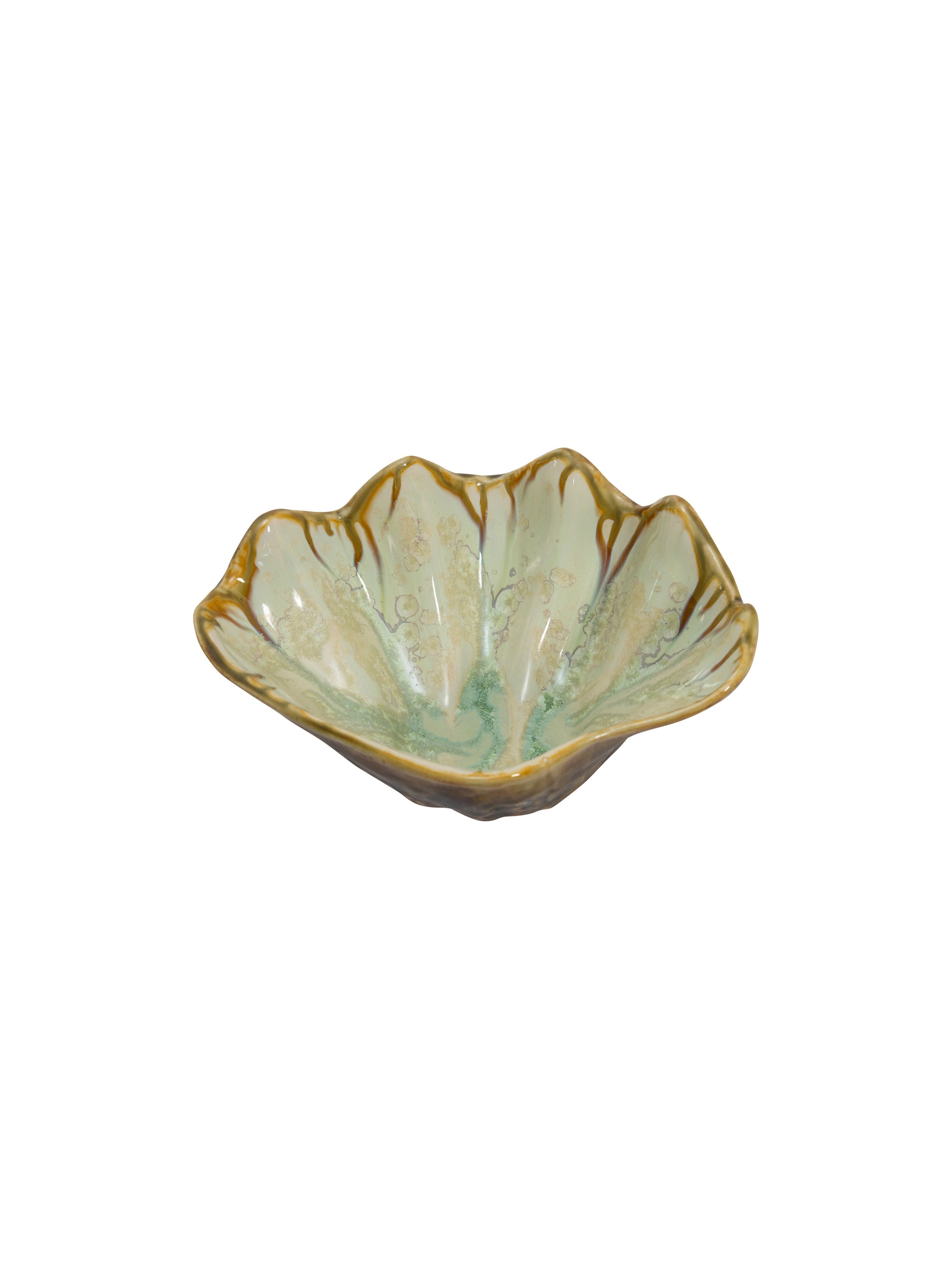Tortoise and Mint Sea Clam Bowl Weston Table