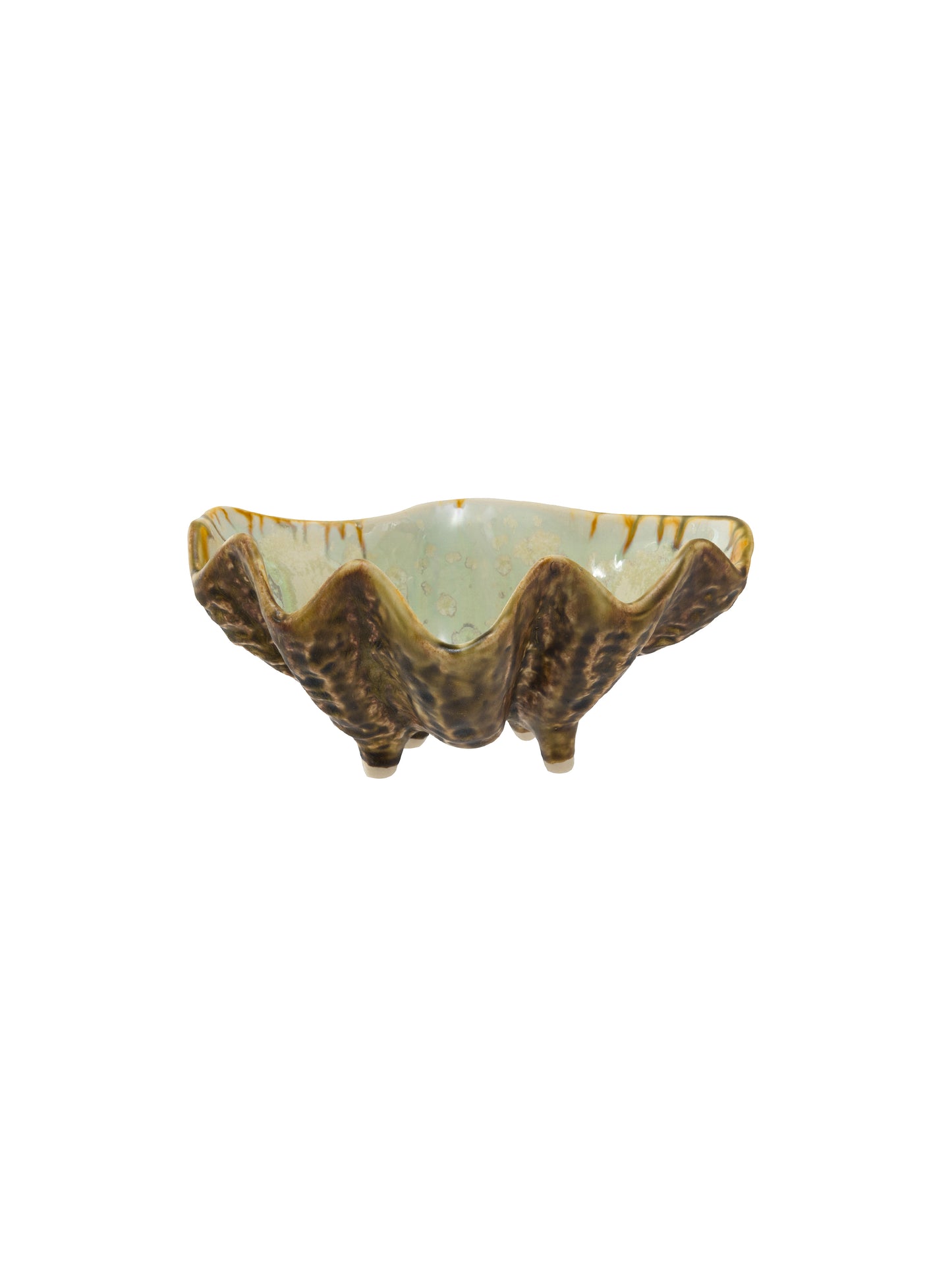 Tortoise and Mint Sea Clam Bowl Weston Table