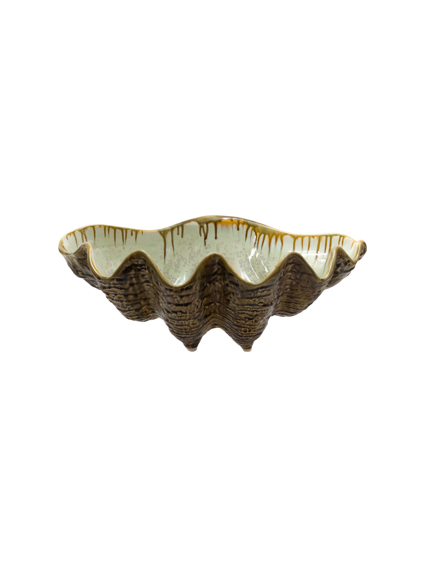 Tortoise and Mint Sea Clam Bowl Weston Table