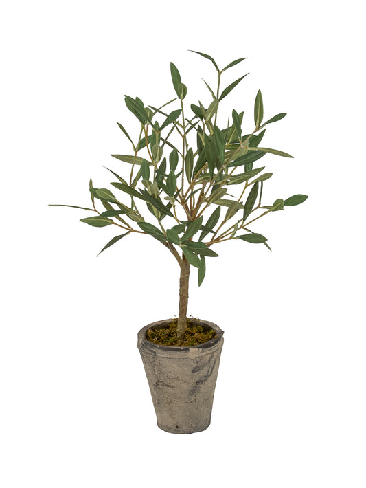 Olive Potted Tree Weston Table
