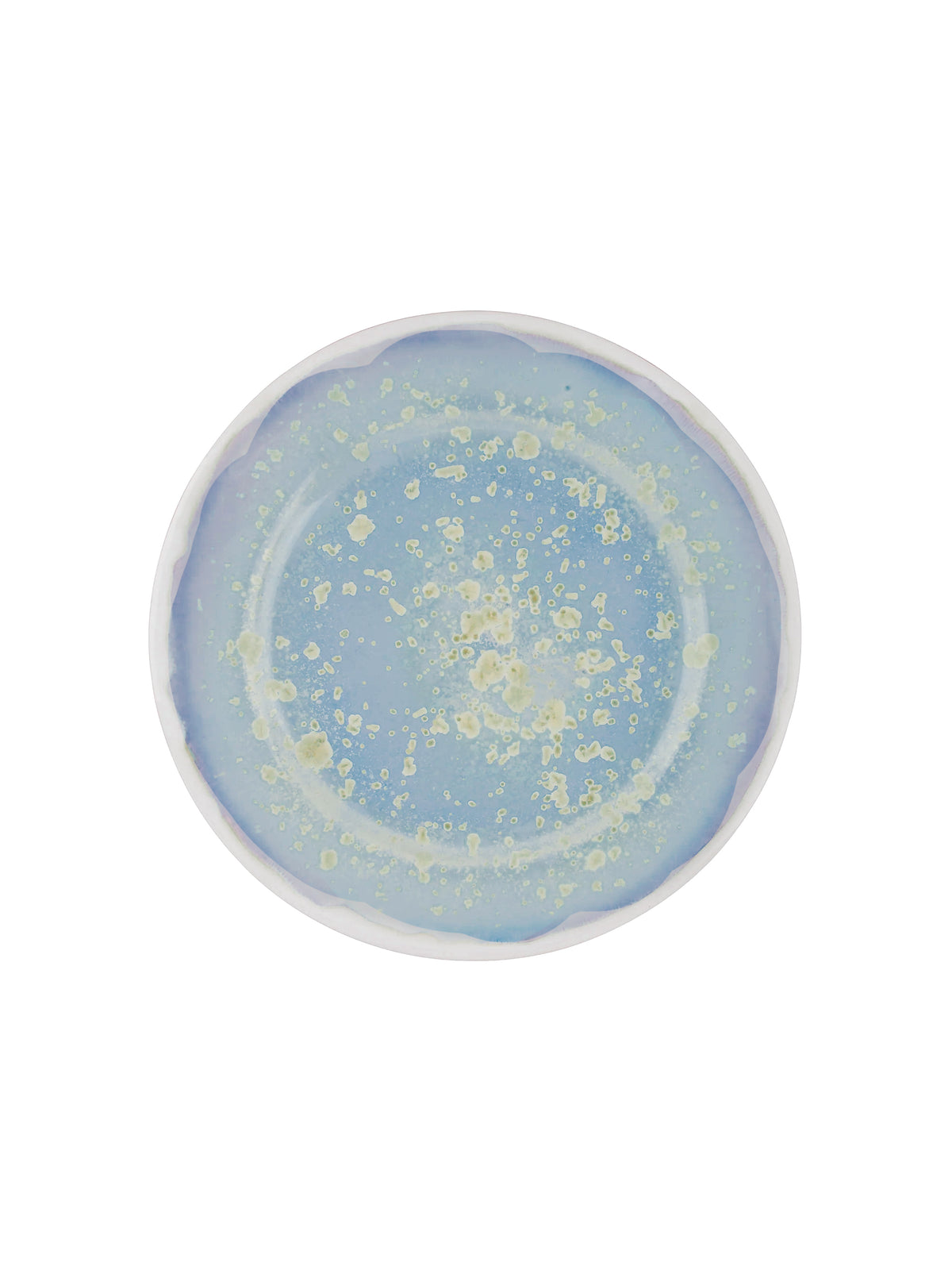Pearl Oyster Dinner Plate Weston Table