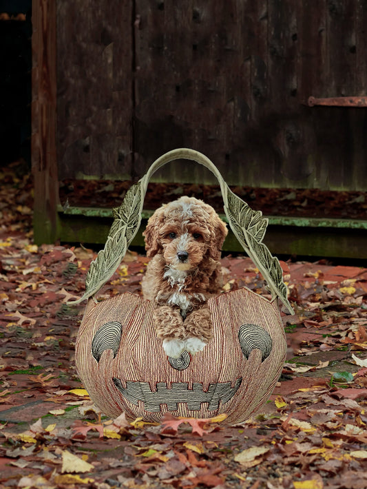 Coral & Tusk Jack-O'-Lantern Basket Weston Table