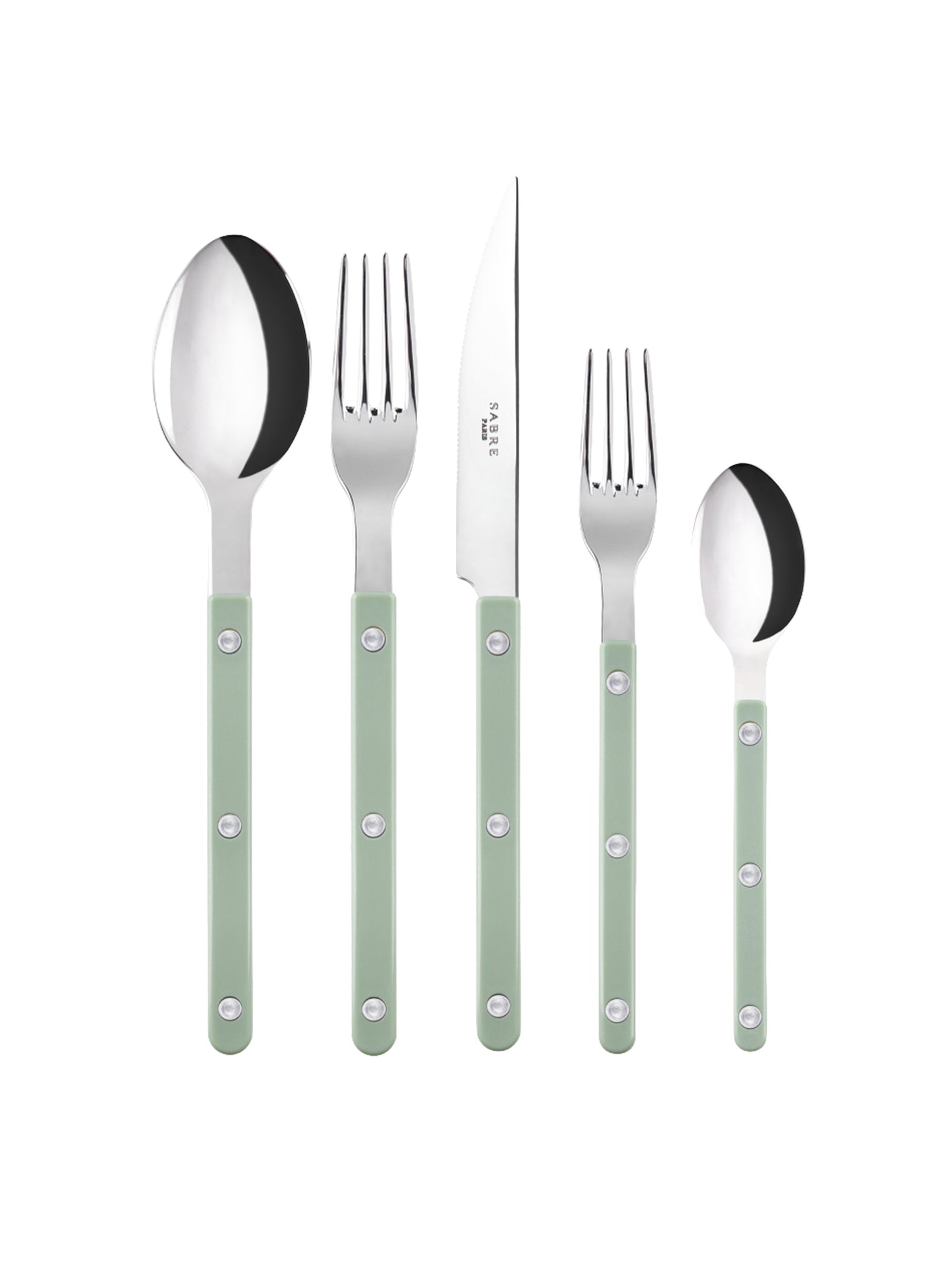 Sabre Paris Bistro Asparagus 5 Piece Place Setting Weston Table