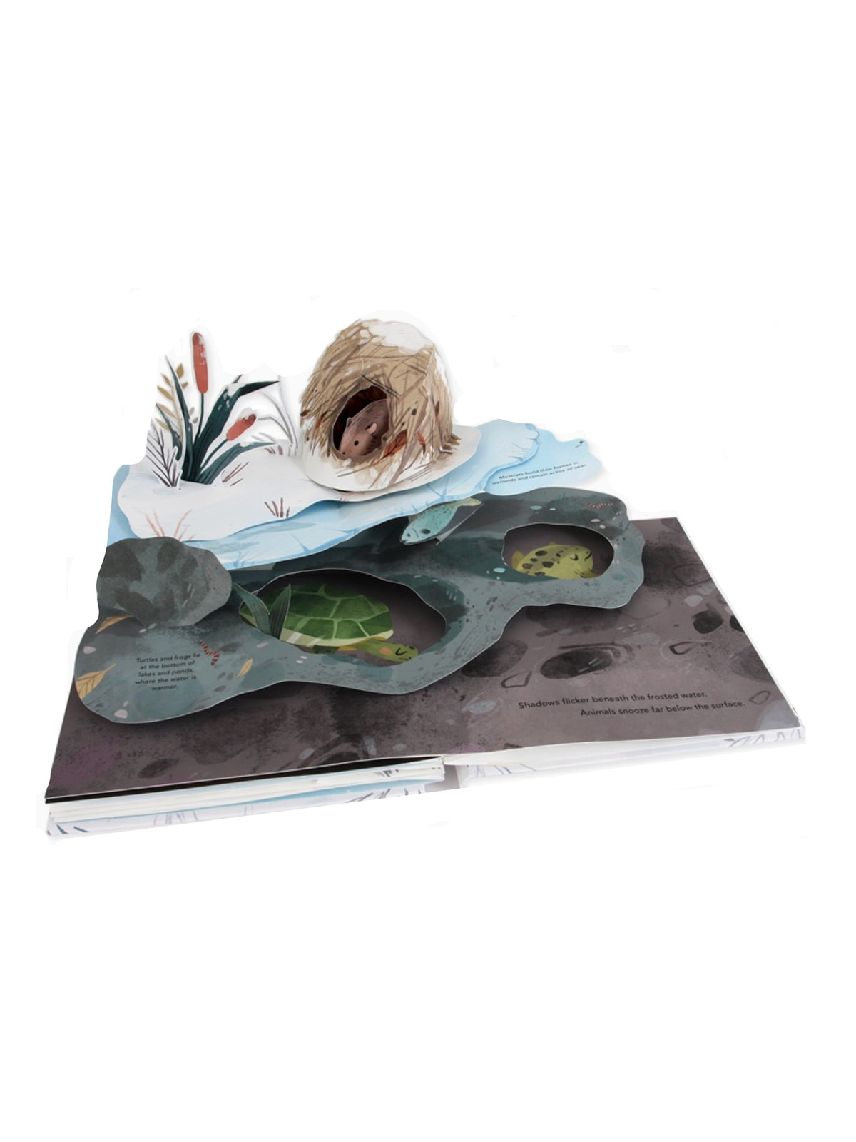 Snowscape: A Winter Pop-Up Book Weston Table