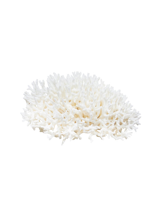South Pacific Bird's Nest Coral Weston Table