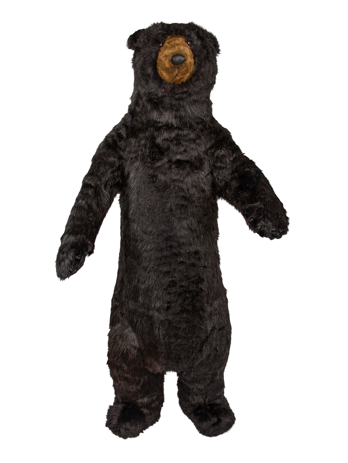 Standing Black Bear