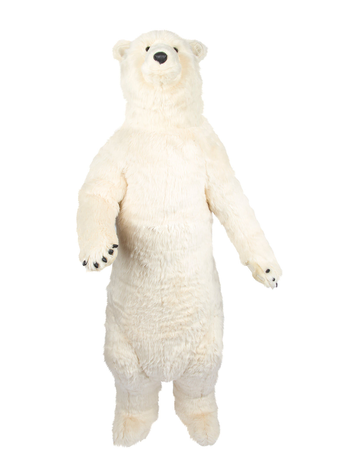 Standing Polar Bear
