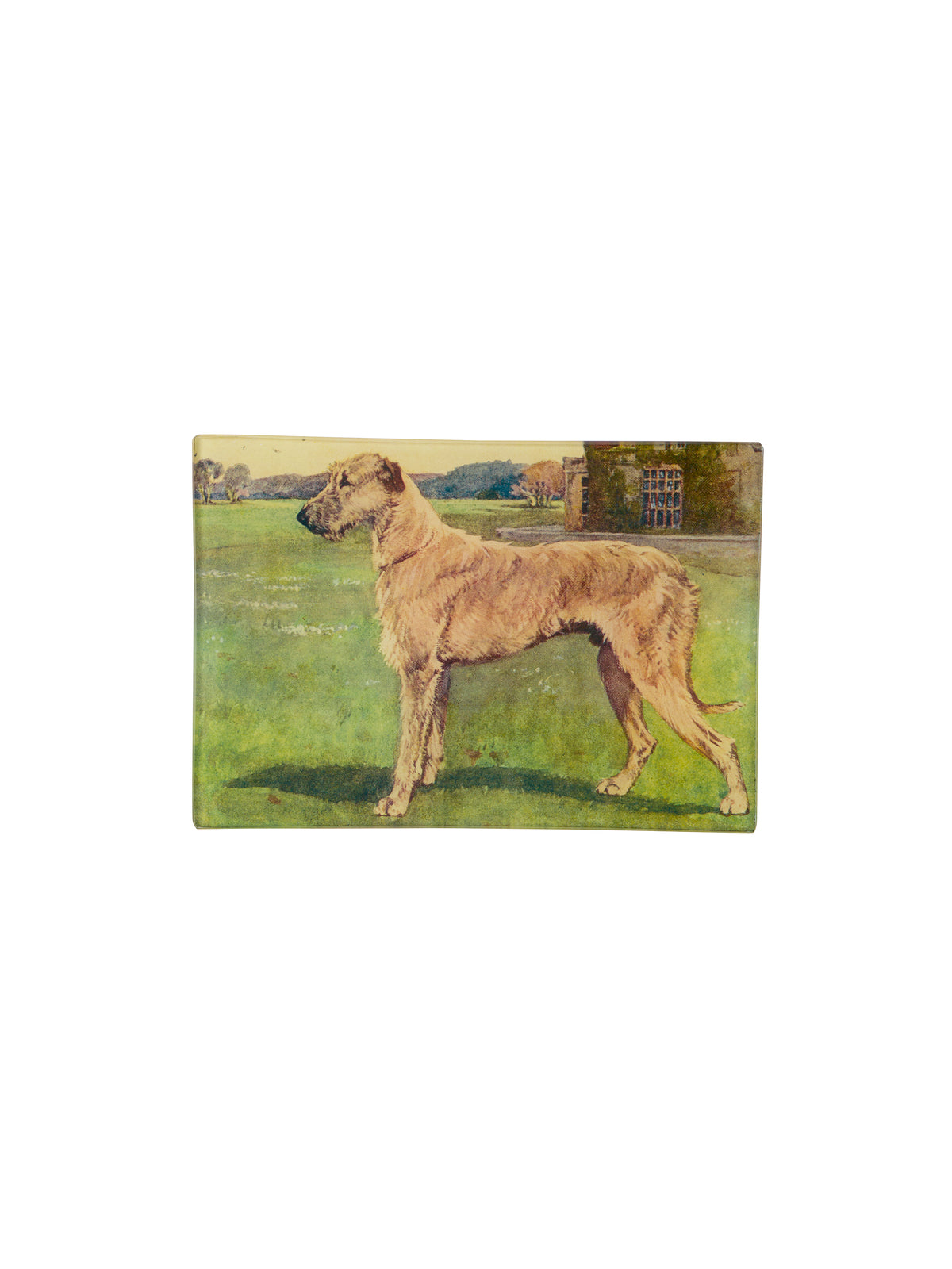 Vintage John Derian Irish Wolfhound Plate Weston Table