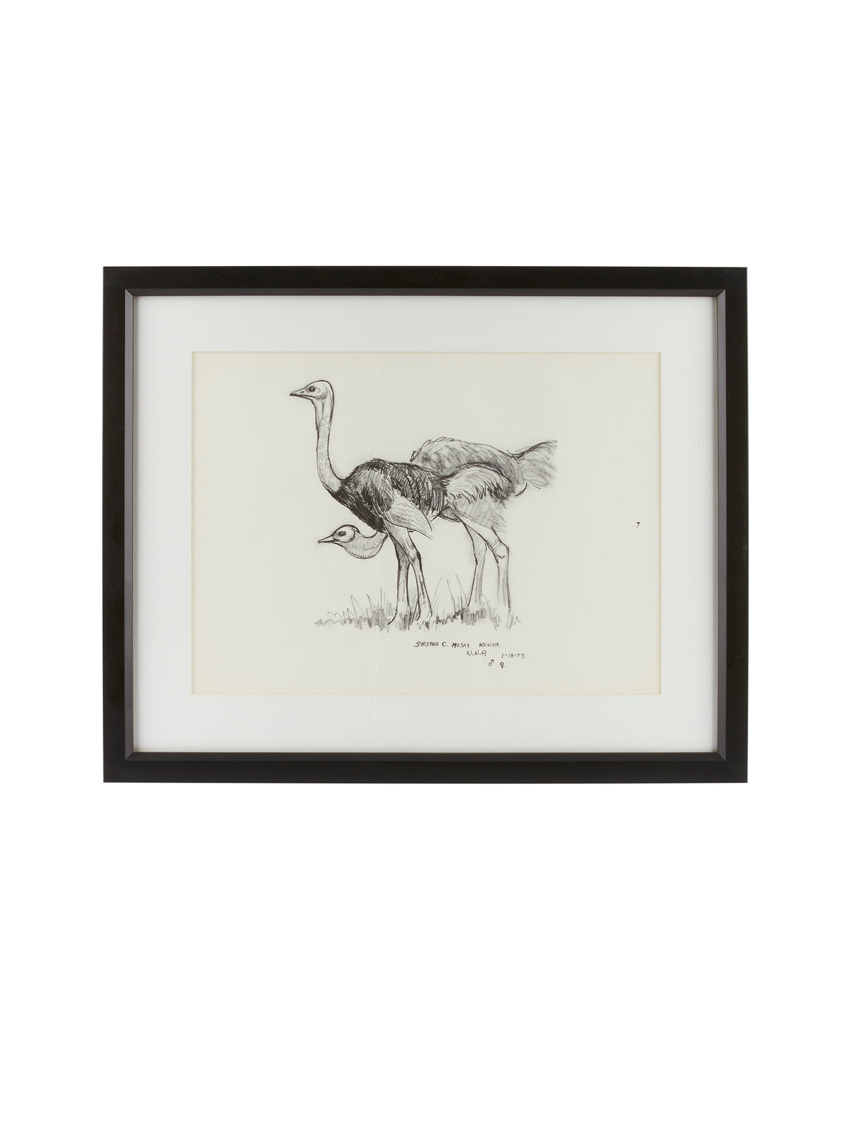 Vintage Kenyan Graphite Ostrich Framed Art Weston Table