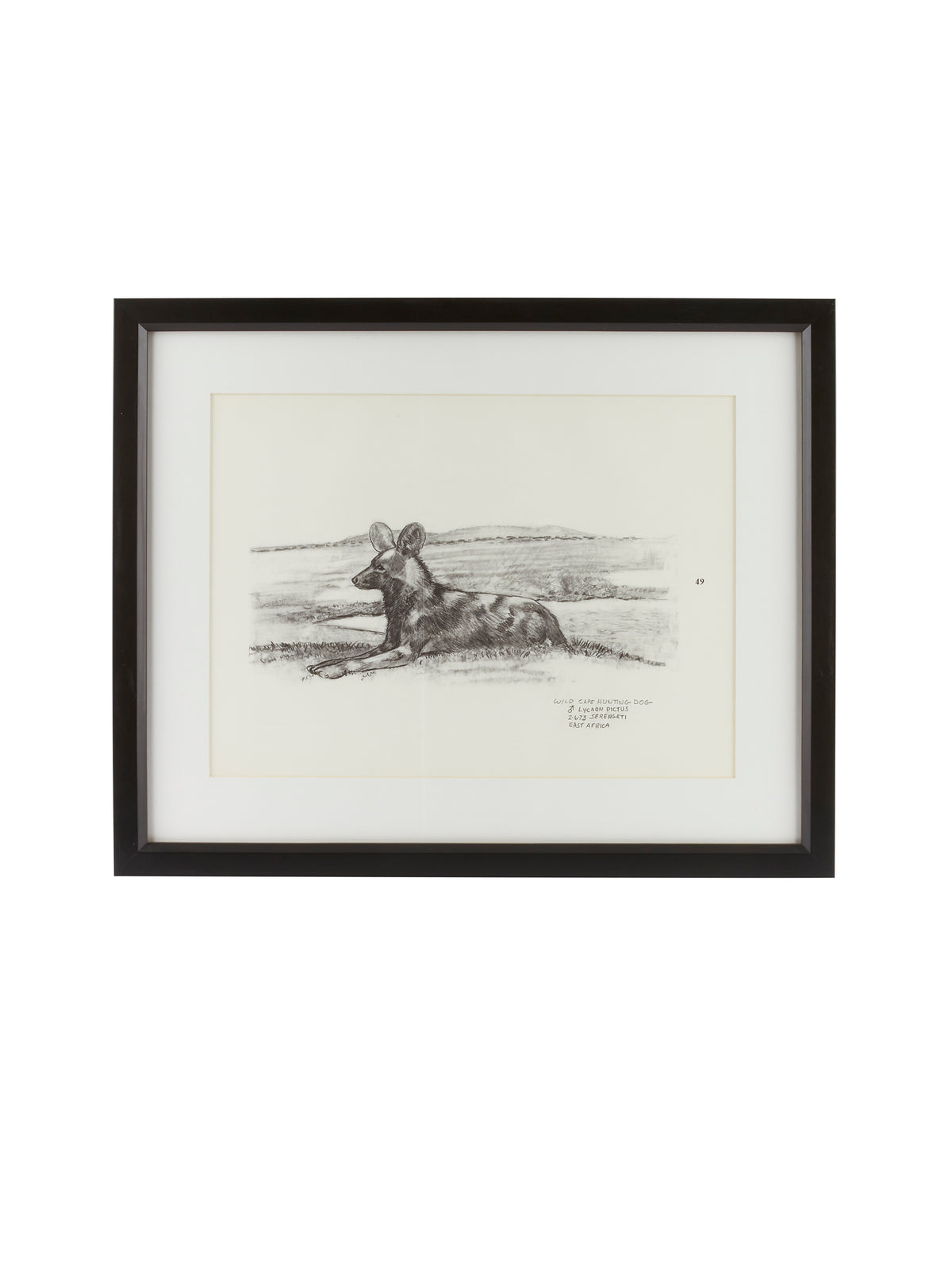 Vintage Kenyan Graphite Wild Cape Hunting Dog Framed Art Weston Table