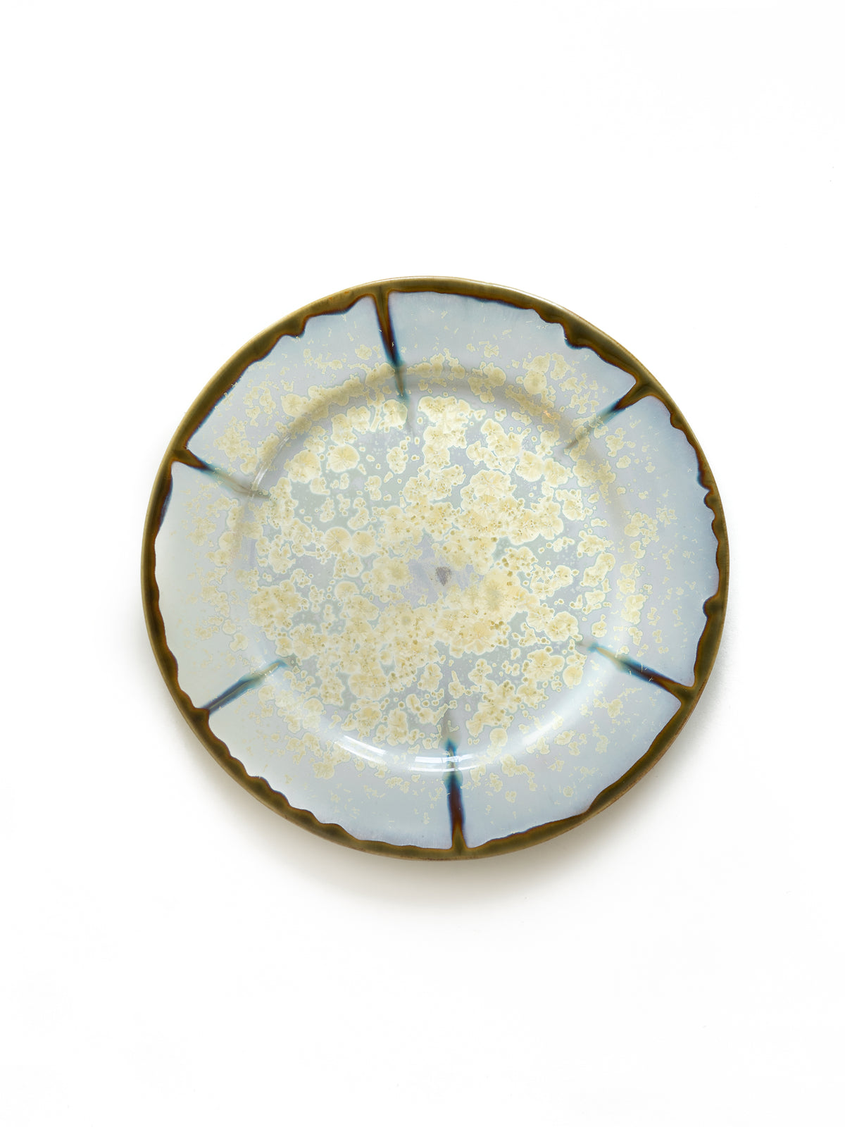 Abalone and Tortoise Oyster Dinner Plate Weston Table