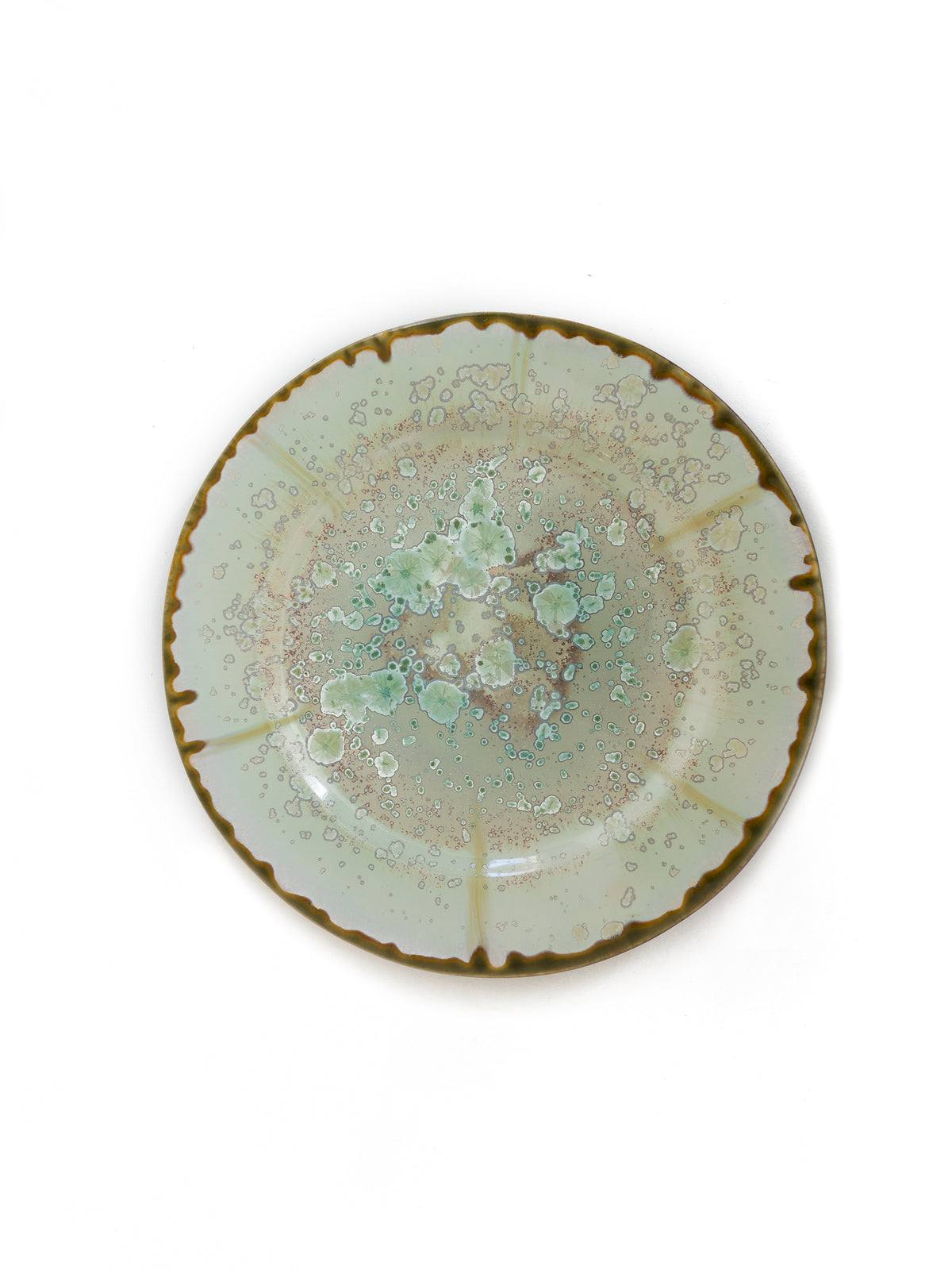 Mint and Tortoise Oyster Dinner Plate Weston Table