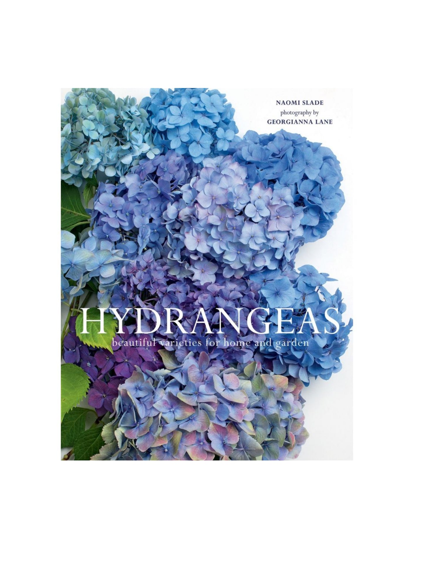 Hydrangeas Weston Table