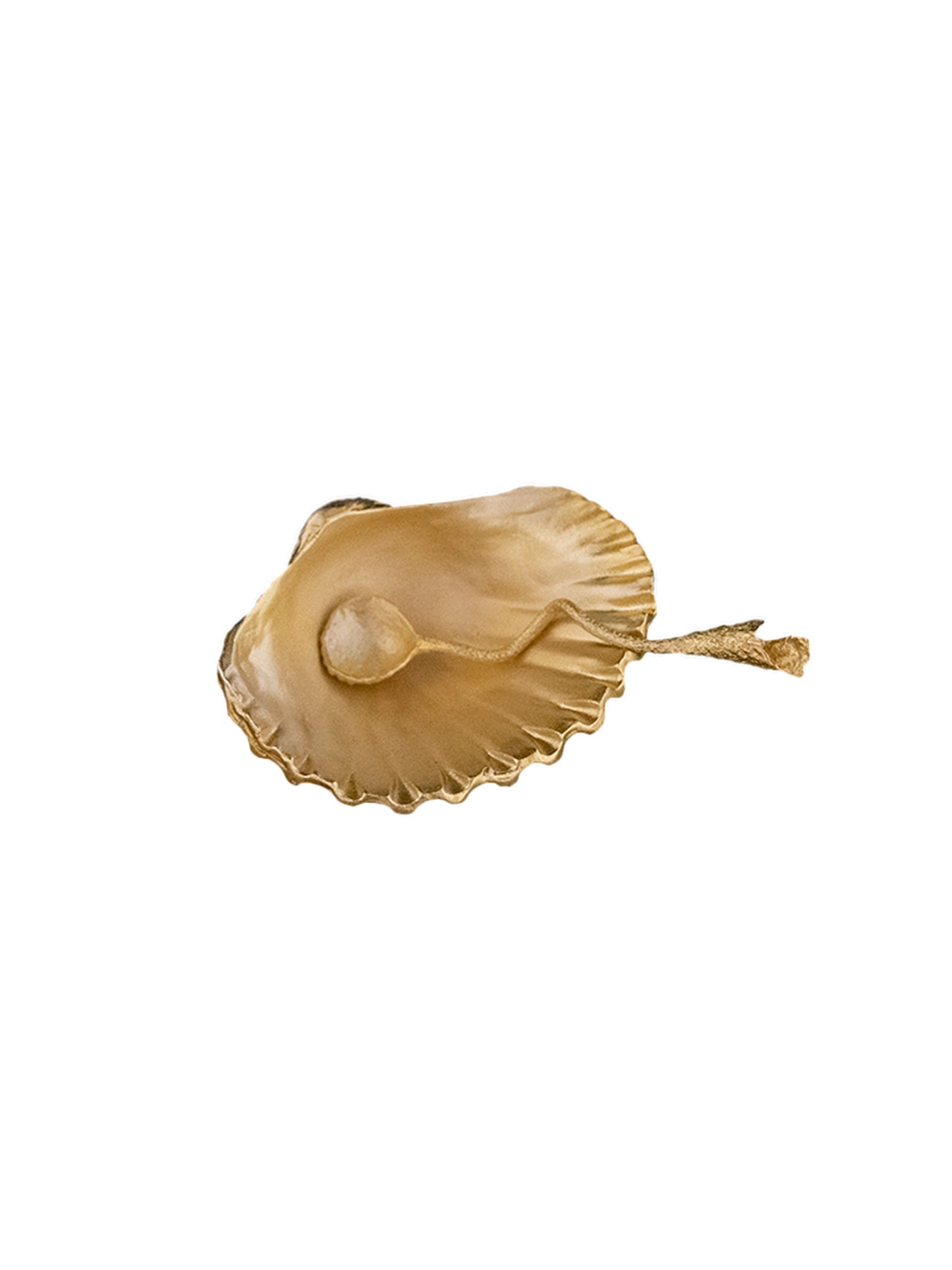 Michael Michaud Seashell Salt Dish Gold Weston Table