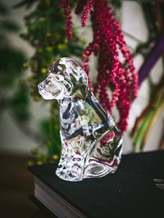 Simon Pearce Dog in a Gift Box Weston Table