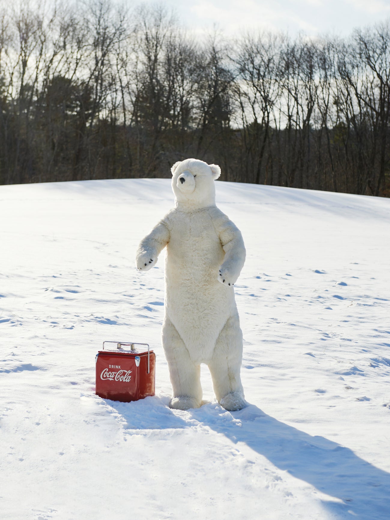 Standing Polar Bear