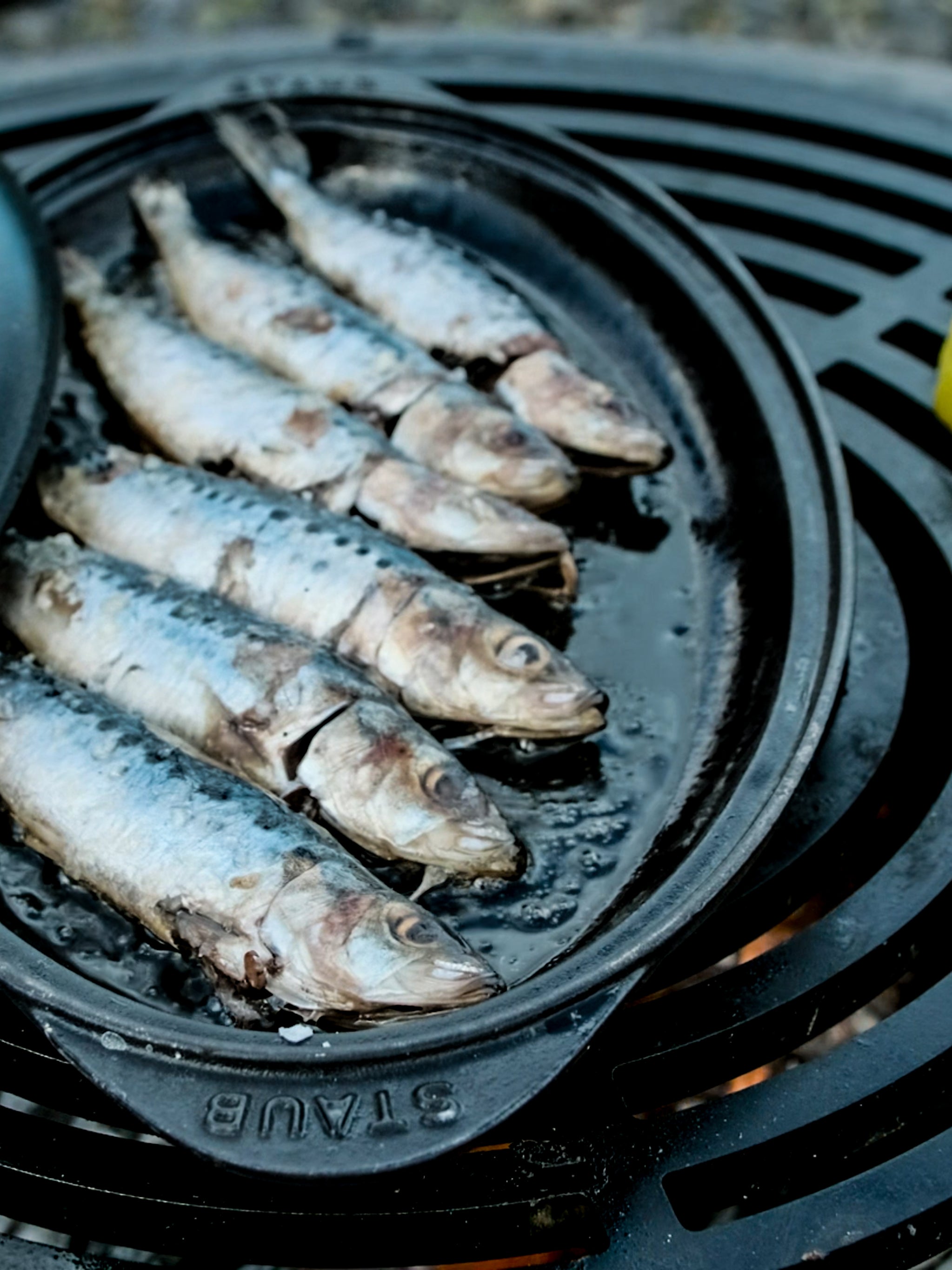 Cookware, Cast Iron Lidded Fish Pan