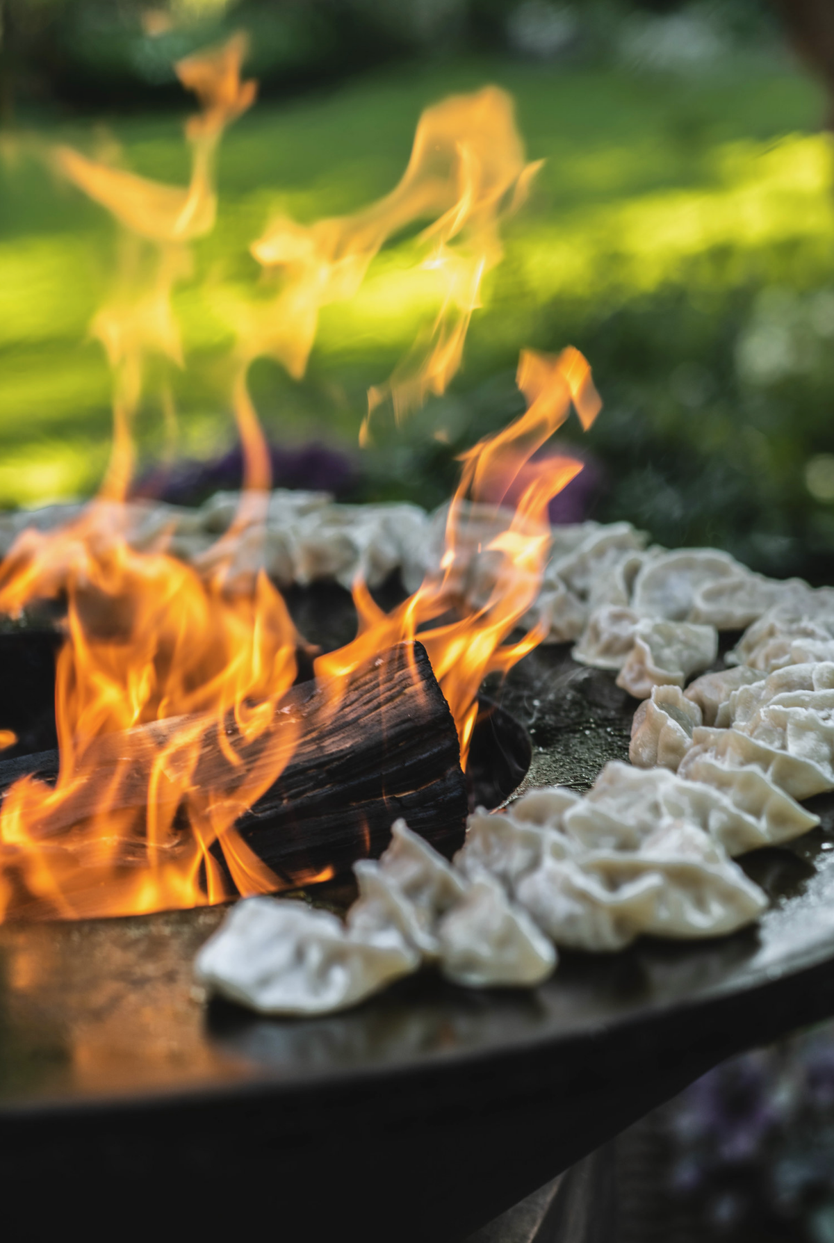 Year of the Pig Dumplings | Weston Table