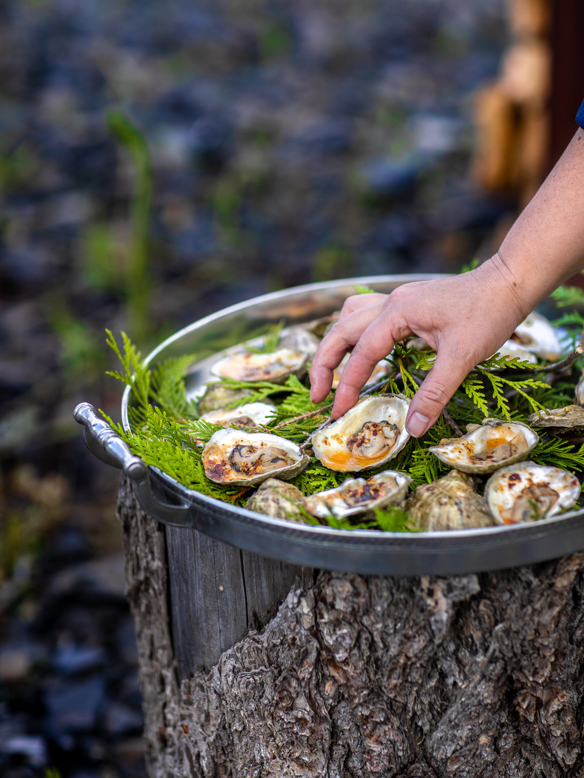 Grilled Island Creek Oysters with Chile Garlic Butter Recipe | Weston Table