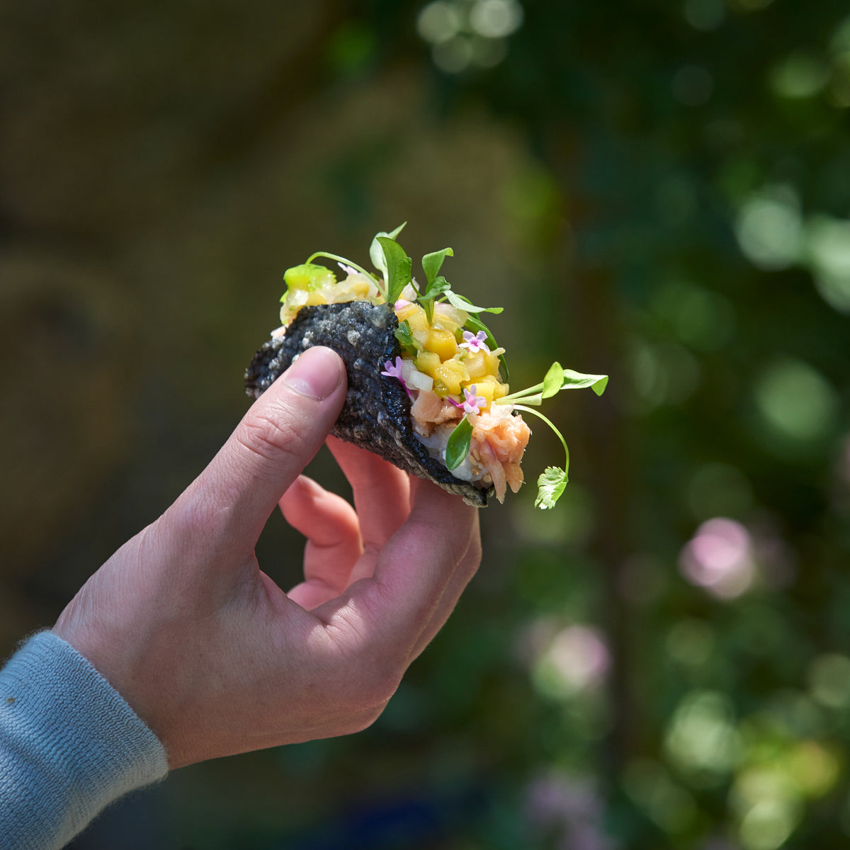 Mango Habanero Salmon Nori Tacos|Weston Table