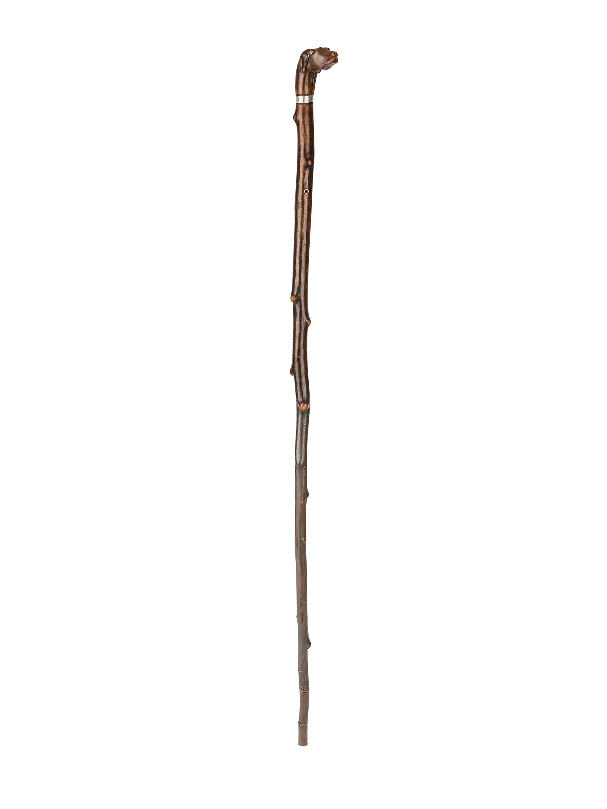 Vintage 19th Century Dog Head Cane with Sterling Silver Collar Weston Table
