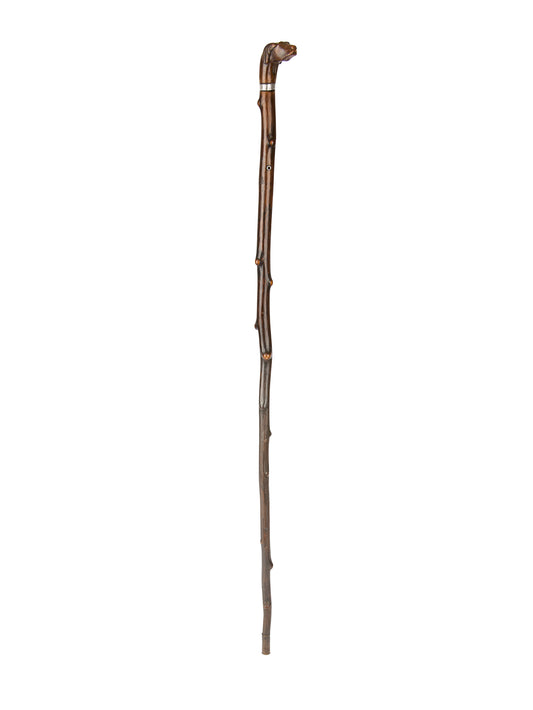 Vintage 19th Century Dog Head Cane with Sterling Silver Collar Weston Table