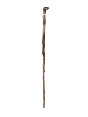  Vintage 19th Century Dog Head Cane with Sterling Silver Collar Weston Table 