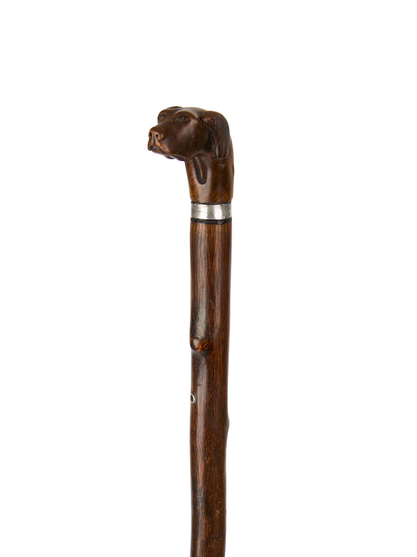 Vintage 19th Century Dog Head Cane with Sterling Silver Collar Weston Table