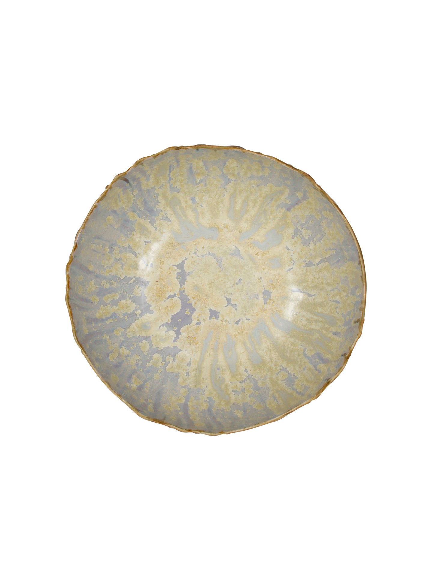 Abalone Tortoise Sea Urchin Bowl Medium Weston Table