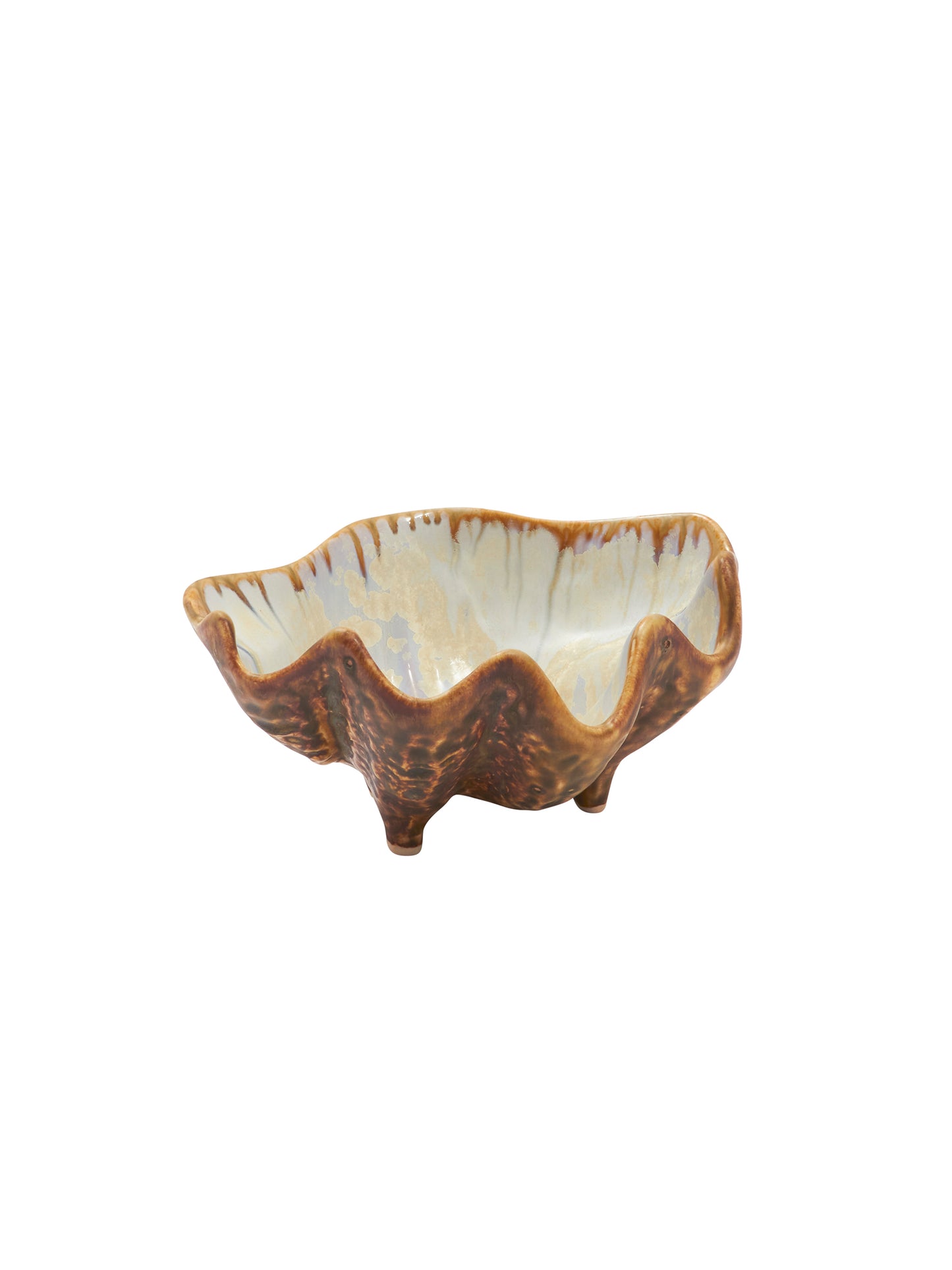 Abalone and Tortoise Sea Clam Bowl Small Weston Table