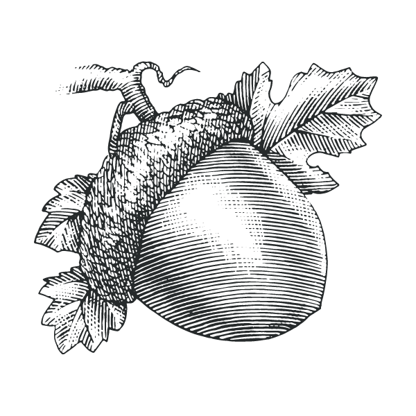 Weston Table Everyday Extraordinary Kitchenware, Tableware & Décor